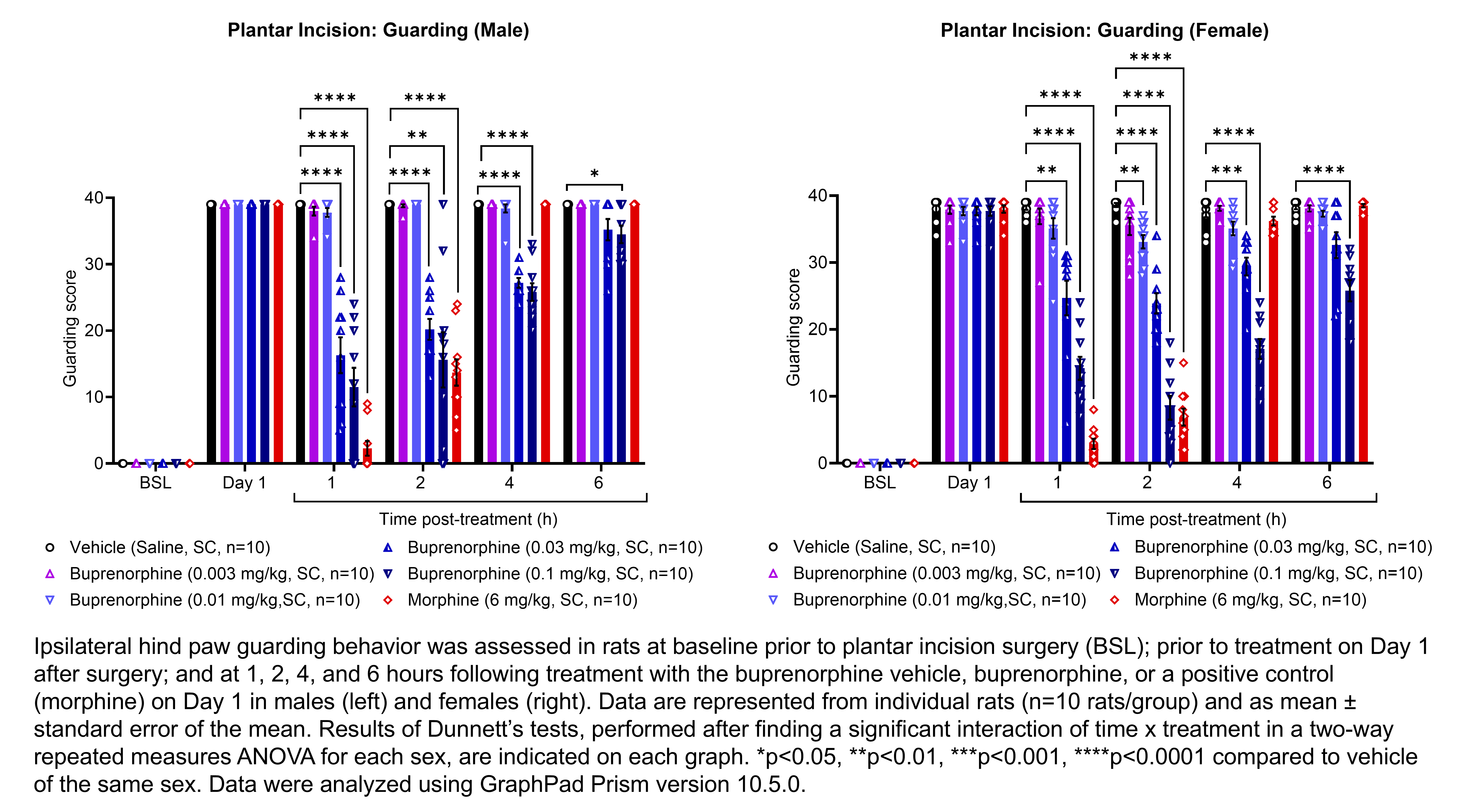 Two graphs show ipsilateral hind paw guarding behavior evaluated in male or female rats that have undergone plantar incision surgery. Responses are shown at the following time points: baseline (before surgery), prior to treatment at 1 day after surgery, and at 1, 2, 4, and 6 hours after treatment at 1 day after surgery. The treatments are vehicle (saline, delivered SC), buprenorphine (0.003, 0.01, 0.03, or 0.1 mg/kg, delivered SC), or morphine (6 mg/kg, delivered SC). There were 10 rats per group. A significant interaction of time x treatment was found in a two-way repeated measures ANOVA for each sex. Dunnett’s tests found significant decreases in guarding scores relative to vehicle in males at 1 hour post-treatment with 0.03 and 0.1 mg/kg buprenorphine (p<0.0001 for both comparisons) and morphine (p<0.0001); at 2 hours post-treatment with 0.03 mg/kg buprenorphine (p<0.0001), 0.1 mg/kg buprenorphine (p<0.01), and morphine (p<0.0001); at 4 hours post-treatment with 0.03 mg/kg buprenorphine (p<0.0001) and 0.1 mg/kg buprenorphine (p<0.0001); and at 6 hours post-treatment with 0.1 mg/kg buprenorphine (p<0.05). Dunnett’s tests found significant decreases in guarding scores relative to vehicle in females at 1 hour post-treatment with 0.03 mg/kg buprenorphine (p<0.01), 0.1 mg/kg buprenorphine (p<0.0001), and morphine (p<0.0001); at 2 hours post-treatment with 0.01 mg/kg buprenorphine (p<0.01), 0.03 mg/kg buprenorphine (p<0.0001), 0.1 mg/kg buprenorphine (p<0.0001), and morphine (p<0.0001); at 4 hours post-treatment with 0.03 mg/kg buprenorphine (p<0.001) and 0.01 mg/kg buprenorphine (p<0.0001); and at 6 hours post-treatment with 0.1 mg/kg buprenorphine (p<0.0001).