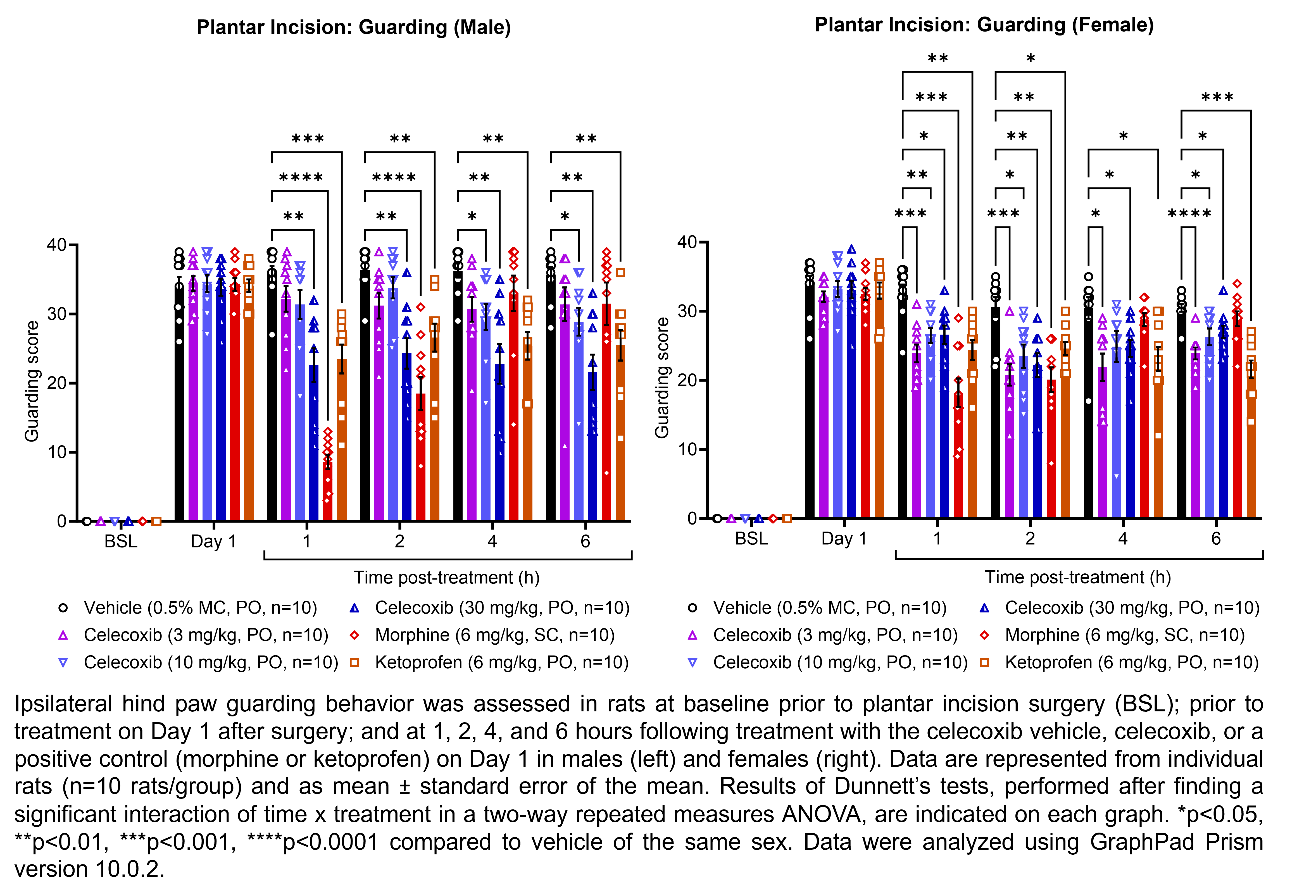 Two graphs show ipsilateral hind paw guarding behavior evaluated in male or female rats that have undergone plantar incision surgery. Responses are shown at the following time points: baseline (before surgery), prior to treatment at 1 day after surgery, and at 1, 2, 4, and 6 hours after treatment at 1 day after surgery. The treatments are vehicle (0.5% methylcellulose, delivered PO), celecoxib (3, 10, or 30 mg/kg, delivered PO), morphine (6 mg/kg, delivered SC), or ketoprofen (6 mg/kg, delivered PO). There were 10 rats per group. A significant interaction of time x treatment was found in a two-way repeated measures ANOVA for each sex. Dunnett’s tests found significant decreases in guarding scores relative to vehicle in males at 1 hour post-treatment with 30 mg/kg celecoxib (p<0.01), morphine (p<0.0001), and ketoprofen (p<0.001); at 2 hours post-treatment with 30 mg/kg celecoxib (p<0.01), morphine (p<0.0001), and ketoprofen (p<0.01); at 4 hours post-treatment with 10 mg/kg celecoxib (p<0.05), 30 mg/kg celecoxib (p<0.01), and ketoprofen (p<0.01); and at 6 hours post-treatment with 10 mg/kg celecoxib (p<0.05), 30 mg/kg celecoxib (p<0.01), and ketoprofen (p<0.01). Dunnett’s tests found significant decreases in guarding scores relative to vehicle in females at 1 hour post-treatment with 3 mg/kg celecoxib (p<0.001), 10 mg/kg celecoxib (p<0.01), 30 mg/kg celecoxib (p<0.05), morphine (p<0.001), and ketoprofen (p<0.01); at 2 hours post-treatment with 3 mg/kg celecoxib (p<0.001), 10 mg/kg celecoxib (p<0.05), 30 mg/kg celecoxib (p<0.01), morphine (p<0.01), and ketoprofen (p<0.05); at 4 hours post-treatment with 3 mg/kg celecoxib (p<0.05), 30 mg/kg celecoxib (p<0.05), and ketoprofen (p<0.05); and at 6 hours post-treatment with 3 mg/kg celecoxib (p<0.0001), 10 mg/kg celecoxib (p<0.05), 30 mg/kg celecoxib (p<0.05), and ketoprofen (p<0.001).