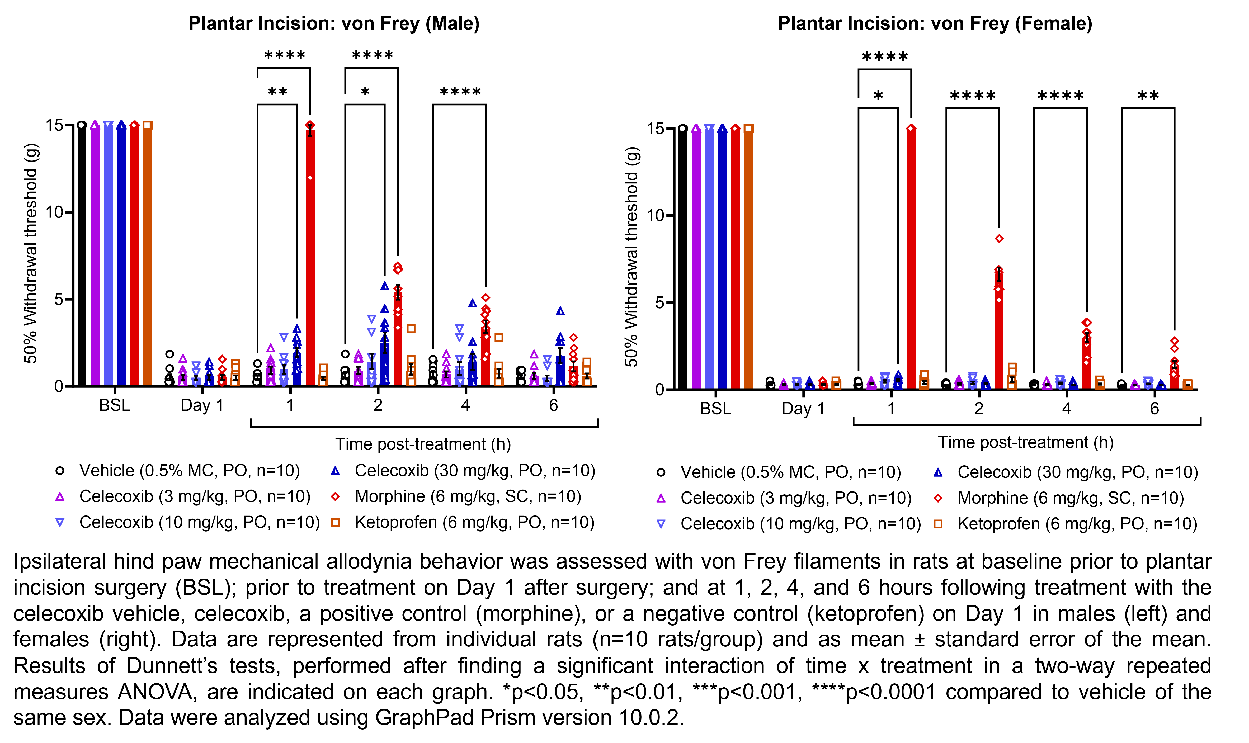 Two graphs show ipsilateral hind paw mechanical allodynia behavior assessed with von Frey filaments in male or female rats that have undergone plantar incision surgery. Responses are shown at the following time points: baseline (before surgery), prior to treatment at 1 day after surgery, and at 1, 2, 4, and 6 hours after treatment at 1 day after surgery. The treatments are vehicle (0.5% methylcellulose, delivered PO), celecoxib (3, 10, or 30 mg/kg, delivered PO), morphine (6 mg/kg, delivered SC), or ketoprofen (6 mg/kg, delivered PO). There were 10 rats per group. A significant interaction of time x treatment was found in a two-way repeated measures ANOVA for each sex. Dunnett’s tests found significant increases in withdrawal thresholds relative to vehicle in males at 1 hour post-treatment with 30 mg/kg celecoxib (p<0.01) and morphine (p<0.0001); at 2 hours post-treatment with 30 mg/kg celecoxib (p<0.05) and morphine (p<0.0001); and at 4 hours post-treatment with morphine (p<0.0001). Dunnett’s tests found significant increases in withdrawal thresholds relative to vehicle in males at 1 hour post-treatment with 30 mg/kg celecoxib (p<0.05) and morphine (p<0.0001); at 2 hours post-treatment with morphine (p<0.0001); at 4 hours post-treatment with morphine (p<0.0001); and at 6 hours post-treatment with morphine (p<0.01).