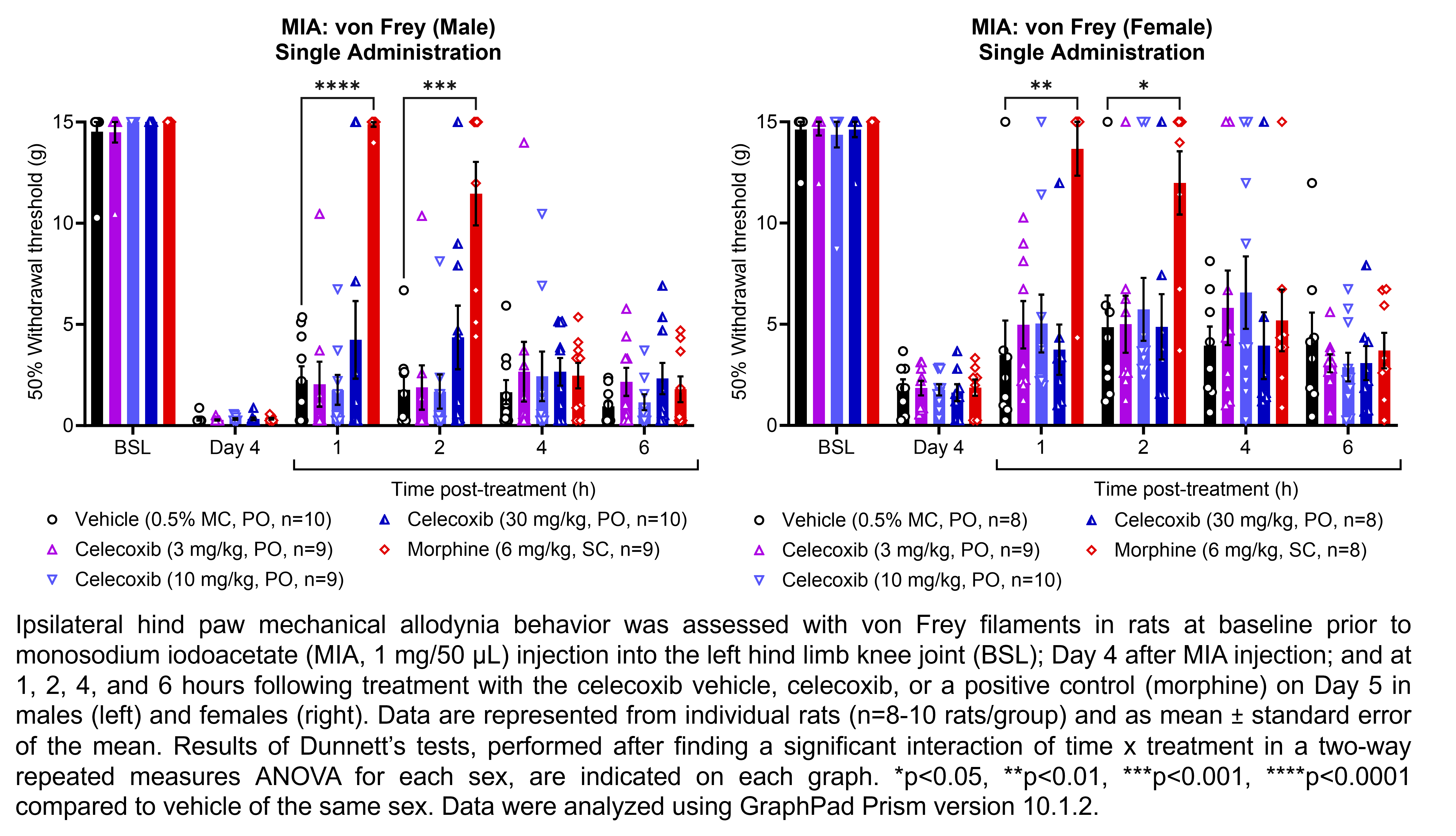 Two graphs show ipsilateral hind paw mechanical allodynia behavior assessed with von Frey filaments in male or female rats that have undergone injection of monosodium iodoacetate (MIA, 1 mg/50 µL) in the left hind limb knee joint. Responses are shown at the following time points: baseline (before MIA injection), Day 4 after MIA injection, and at 1, 2, 4, and 6 hours after treatment on Day 5. The treatments are vehicle (0.5% methylcellulose, delivered PO), celecoxib (3, 10, or 30 mg/kg, delivered PO), or the positive control morphine (6 mg/kg, delivered SC). There were 8-10 rats per group. A significant interaction of time x treatment was found in a two-way repeated measures ANOVA for each sex. Dunnett’s tests found significant increases in withdrawal thresholds relative to vehicle in males at 1 and 2 hours post-treatment with morphine (p<0.0001, 0.001, respectively). Dunnett’s tests found significant increases in withdrawal thresholds relative to vehicle in females at 1 and 2 hours post-treatment with morphine (p<0.01, 0.05, respectively).