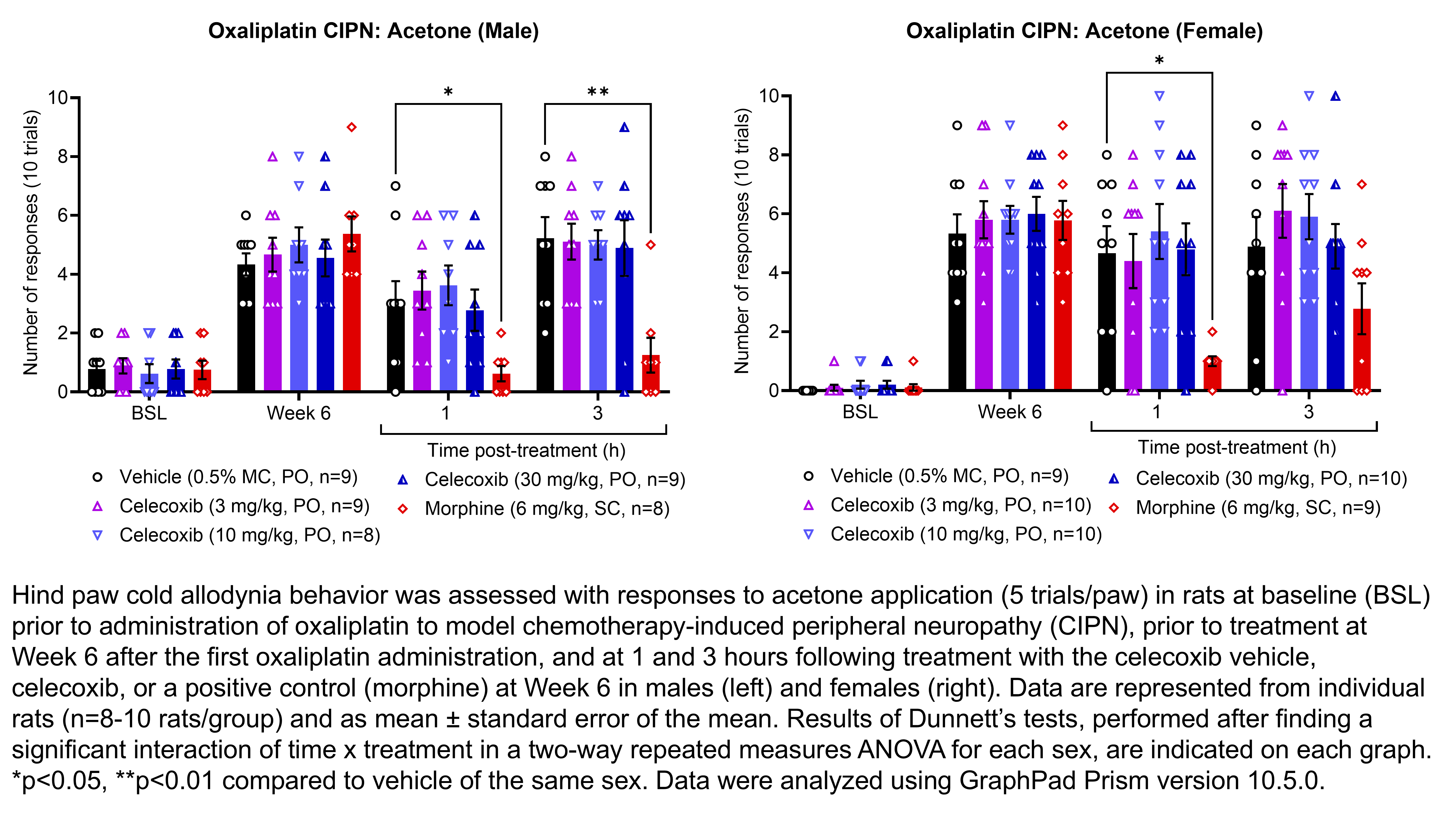 Two graphs show hind paw cold allodynia behavior assessed with 10 trials of the acetone evaporation test (5 per hind paw) in male or female rats that have undergone oxaliplatin administration to model chemotherapy-induced peripheral neuropathy. Responses are shown at the following time points: baseline (before oxaliplatin), prior to treatment at 6 weeks after the first oxaliplatin administration, and at 1 and 3 hours after treatment at 6 weeks after oxaliplatin. The treatments are vehicle (0.5% MC, delivered PO), celecoxib (3, 10, or 30 mg/kg, delivered PO), or the positive control morphine (6 mg/kg, delivered SC). There were 8-10 rats per group. A significant interaction of time x treatment was found in a two-way repeated measures ANOVA for each sex. Dunnett’s tests found significant decreases in acetone responses relative to vehicle in males at 1- and 3-hours post-treatment with morphine (p<0.05, 0.01, respectively). Dunnett’s tests found significant decreases in acetone responses relative to vehicle in females at 1-hour post-treatment with morphine (p<0.05).