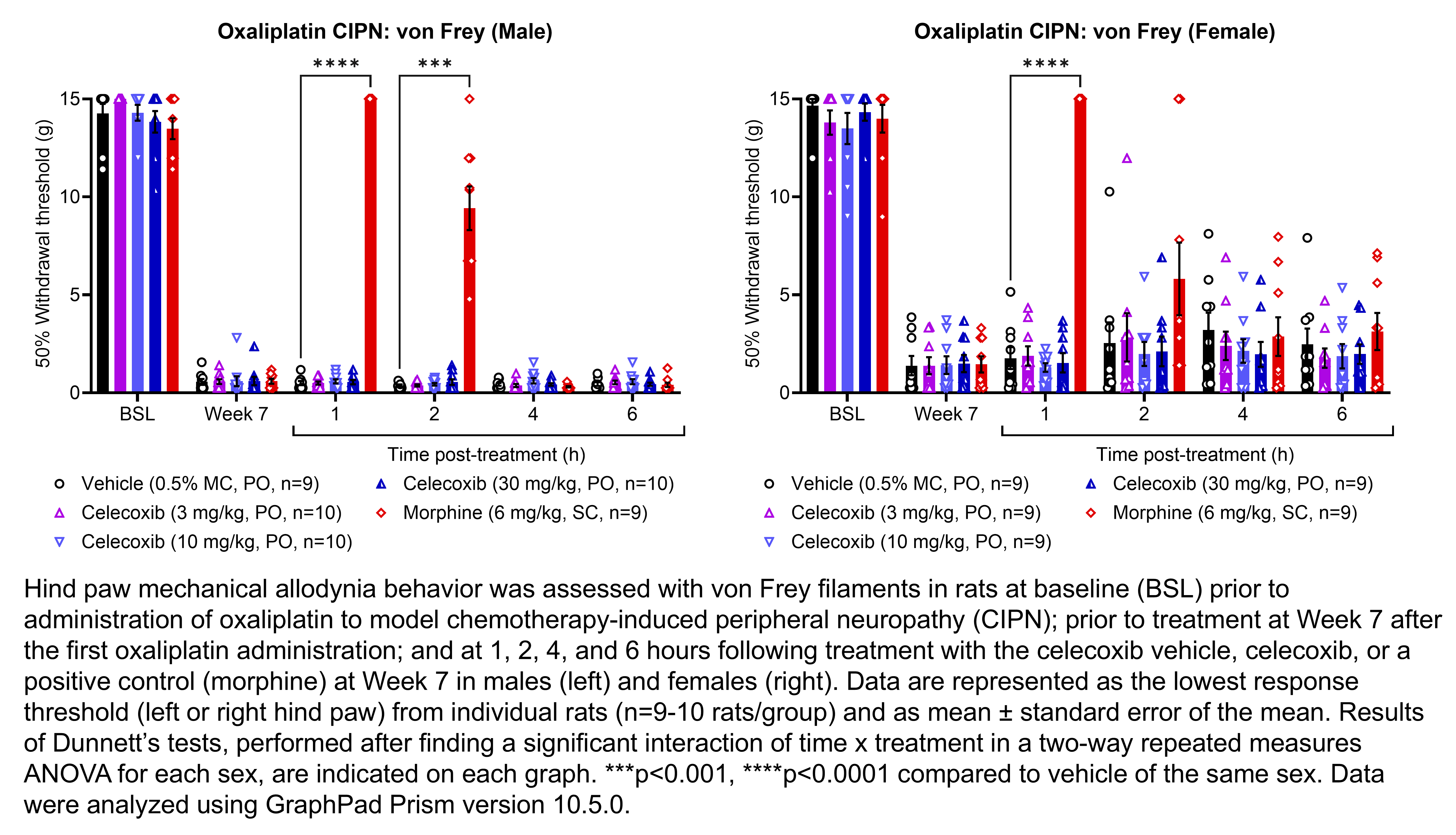 Two graphs show hind paw mechanical allodynia behavior assessed with von Frey filaments in male or female rats that have undergone oxaliplatin administration to model chemotherapy-induced peripheral neuropathy. Responses are shown at the following time points: baseline (before oxaliplatin administration), prior to treatment at 7 weeks after the start of oxaliplatin administration, and at 1, 2, 4, and 6 hours after treatment at 7 weeks after oxaliplatin administration. The treatments are vehicle (0.5% MC, delivered PO), celecoxib (3, 10, or 30 mg/kg, delivered PO), or the positive control morphine (6 mg/kg, delivered SC). Data are represented as the lowest response threshold (left or right hind paw) for each rat. There were 9-10 rats per group. A significant interaction of time x treatment was found in a two-way repeated measures ANOVA for each sex. Dunnett’s tests found significant increases in withdrawal thresholds relative to vehicle in males at 1- and 2-hours post-treatment with morphine (p<0.0001, 0.001, respectively). Dunnett’s tests found significant increases in withdrawal thresholds relative to vehicle in females at 1-hour post-treatment with morphine (p<0.0001).