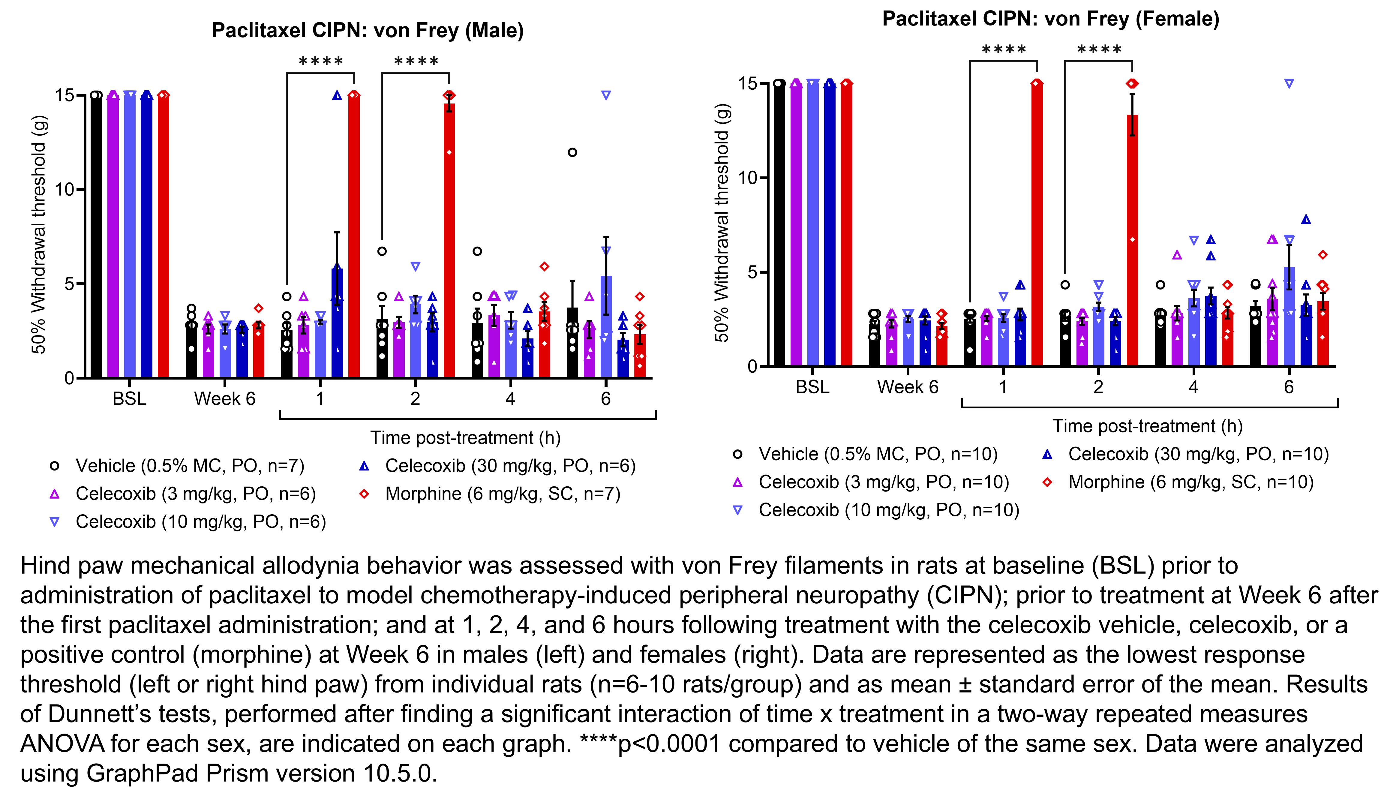 Two graphs show hind paw mechanical allodynia behavior assessed with von Frey filaments in male or female rats that have undergone paclitaxel administration to model chemotherapy-induced peripheral neuropathy. Responses are shown at the following time points: baseline (before paclitaxel administration), prior to treatment at 6 weeks after the start of paclitaxel administration, and at 1, 2, 4, and 6 hours after treatment at 6 weeks after paclitaxel administration. The treatments are vehicle (0.5% MC, delivered PO), celecoxib (3, 10, or 30 mg/kg, delivered PO), or the positive control morphine (6 mg/kg, delivered SC). Data are represented as the lowest response threshold (left or right hind paw) for each rat. There were 6-10 rats per group. A significant interaction of time x treatment was found in a two-way repeated measures ANOVA for each sex. Dunnett’s tests found significant increases in withdrawal thresholds relative to vehicle in males at 1- and 2-hours post-treatment with morphine (p<0.0001). Dunnett’s tests found significant increases in withdrawal thresholds relative to vehicle in females at 1 and 2 hours post-treatment with morphine (p<0.0001).