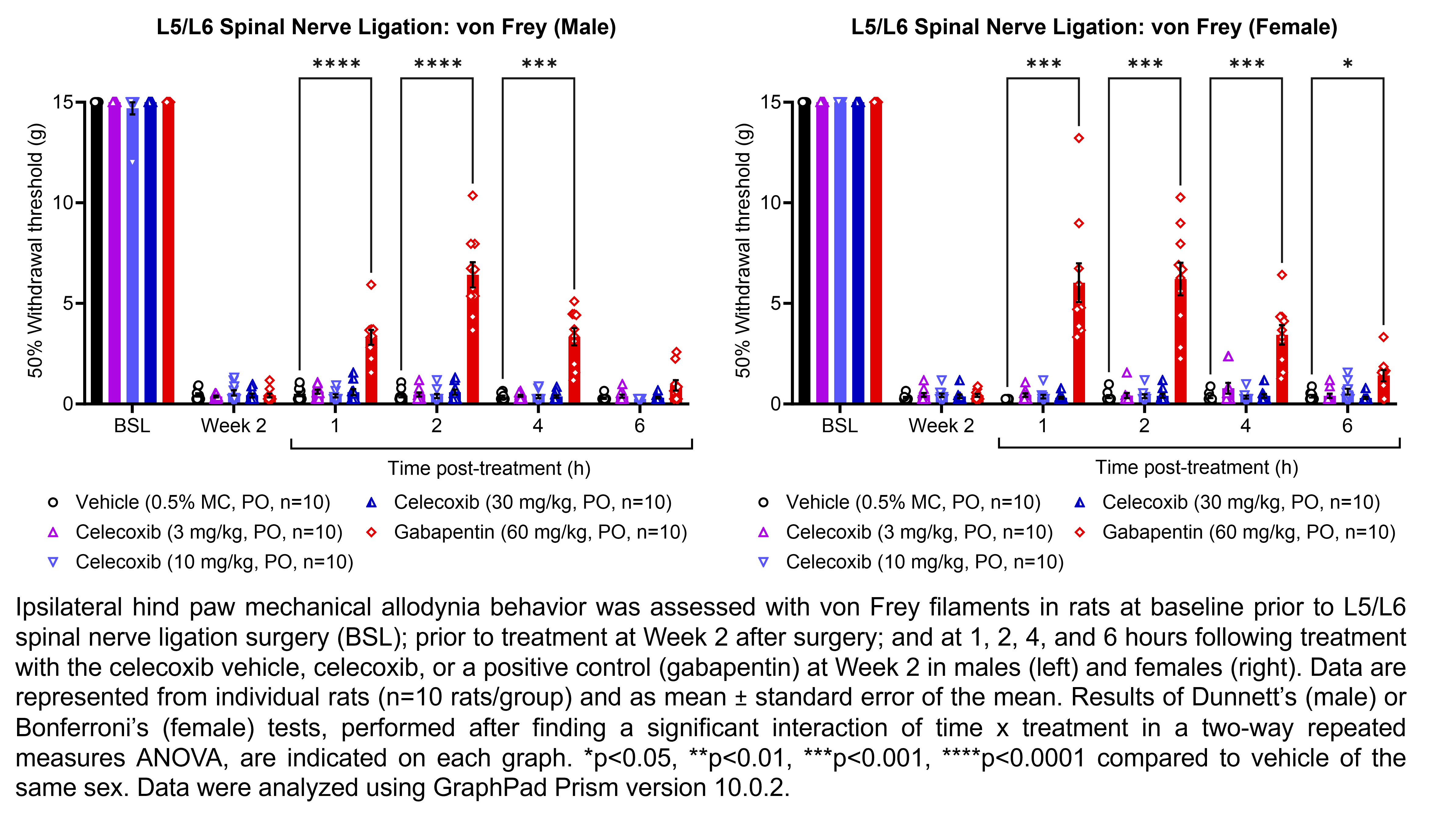 Two graphs show ipsilateral hind paw mechanical allodynia behavior assessed with von Frey filaments in male or female rats that have undergone L5/L6 spinal nerve ligation surgery. Responses are shown at the following time points: baseline (before surgery), prior to treatment at 2 weeks after surgery, and at 1, 2, 4, and 6 hours after treatment at 2 weeks after surgery. The treatments are vehicle (0.5% methylcellulose, delivered PO), celecoxib (3, 10, or 30 mg/kg, delivered PO), or the positive control gabapentin (60 mg/kg, delivered PO). There were 10 rats per group. A significant interaction of time x treatment was found in a two-way repeated measures ANOVA for each sex. Dunnett’s tests found significant increases in withdrawal thresholds relative to vehicle in males at 1, 2, and 4 hours post-treatment with gabapentin (p<0.0001, 0.0001, 0.001, respectively). Dunnett’s tests found significant increases in withdrawal thresholds relative to vehicle in females at 1, 2, 4, and 6 hours post-treatment with gabapentin (p<0.001, 0.001, 0.001, 0.05, respectively).