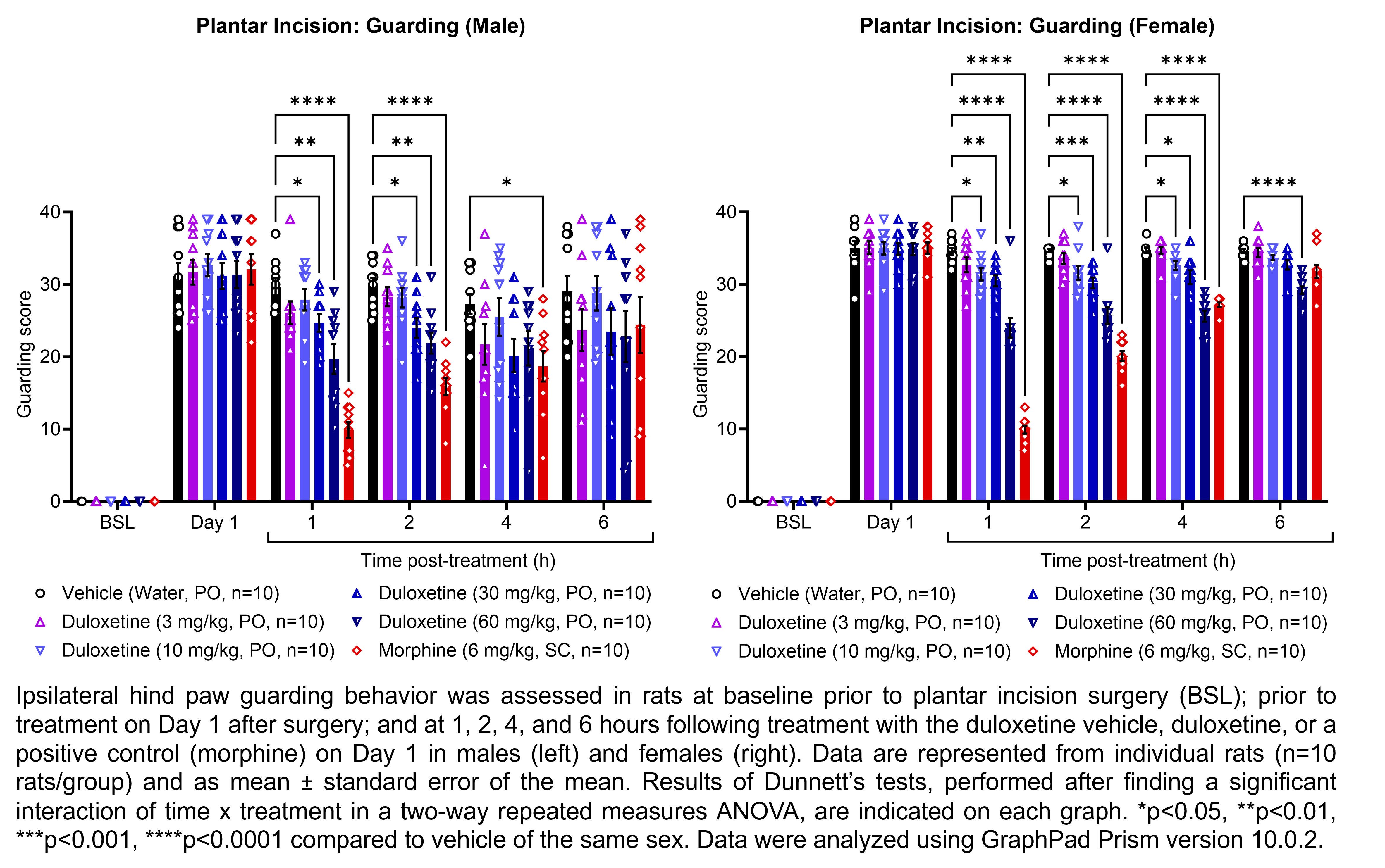 Two graphs show ipsilateral hind paw guarding behavior evaluated in male or female rats that have undergone plantar incision surgery. Responses are shown at the following time points: baseline (before surgery), prior to treatment at 1 day after surgery, and at 1, 2, 4, and 6 hours after treatment at 1 day after surgery. The treatments are vehicle (saline, delivered PO), duloxetine (3, 10, 30, or 60 mg/kg, delivered PO), or the positive control morphine (6 mg/kg, delivered SC). There were 10 rats per group. A significant interaction of time x treatment was found in a two-way repeated measures ANOVA. Dunnett’s tests found significant differences from vehicle in males at 1 hour post-treatment with 30 mg/kg duloxetine (p<0.05), 60 mg/kg duloxetine (p<0.01), and morphine (p<0.0001); at 2 hours post-treatment with 30 mg/kg duloxetine (p<0.05), 60 mg/kg duloxetine (p<0.01), and morphine (p<0.0001); and at 4 hours post-treatment with morphine (p<0.05). Dunnett’s tests found significant differences from vehicle in females at 1 hour post-treatment with 10, 30, and 60 mg/kg duloxetine (p<0.05, 0.01, 0.0001, respectively) and morphine (p<0.0001); at 2 hours post-treatment with 10, 30, and 60 mg/kg duloxetine (p<0.05, 0.001, 0.0001, respectively) and morphine (p<0.0001); at 4 hours post-treatment with 10, 30, and 60 mg/kg duloxetine (p<0.05, 0.05, 0.0001, respectively) and morphine (p<0.0001); and at 6 hours post-treatment with 60 mg/kg duloxetine (p<0.0001).