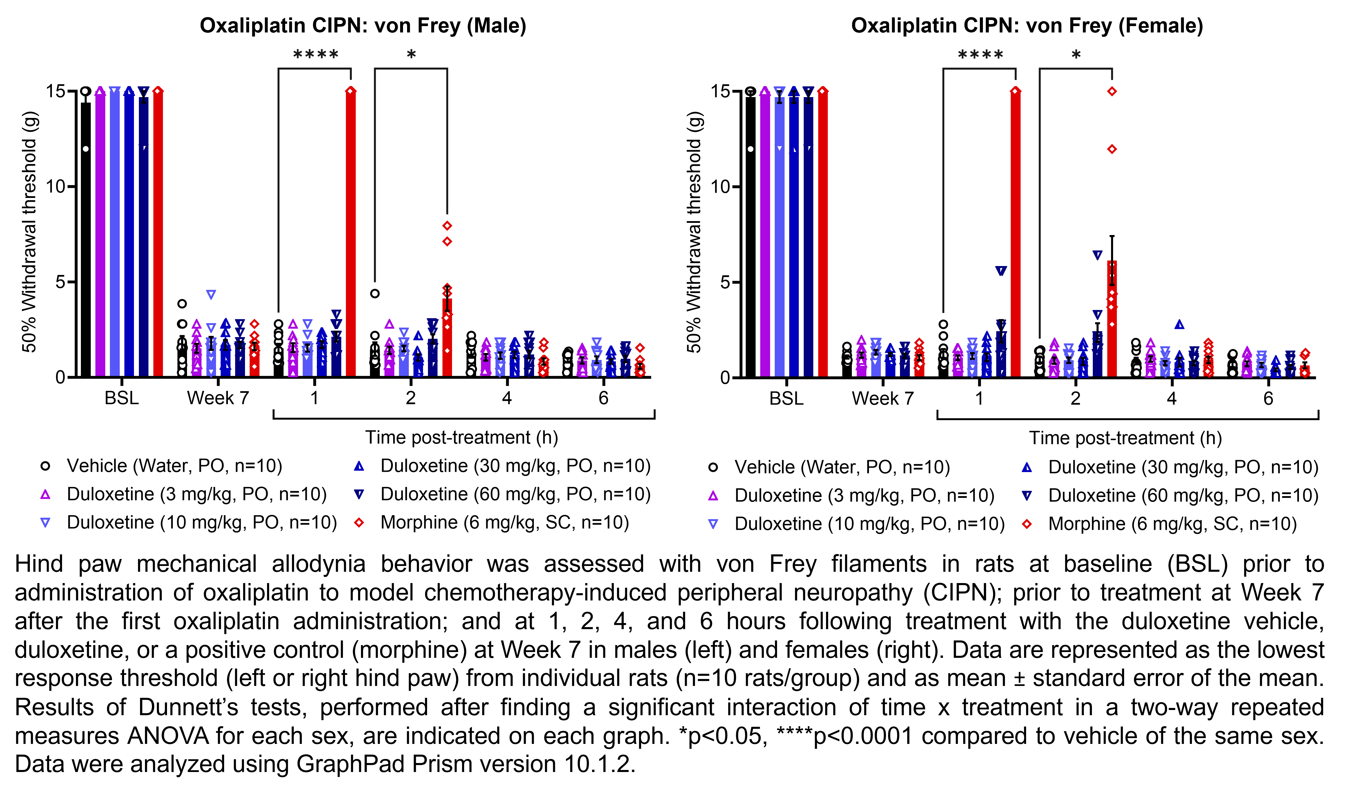 Two graphs show hind paw mechanical allodynia behavior assessed with von Frey filaments in male or female rats that have undergone oxaliplatin administration to model chemotherapy-induced peripheral neuropathy. Responses are shown at the following time points: baseline (before oxaliplatin administration), prior to treatment at 7 weeks after the start of oxaliplatin administration, and at 1, 2, 4, and 6 hours after treatment at 7 weeks after oxaliplatin administration. The treatments are vehicle (water, delivered PO), duloxetine (3, 10, 30, or 60 mg/kg, delivered PO), or the positive control morphine (6 mg/kg, delivered SC). Data are represented as the lowest response threshold (left or right hind paw) for each rat. There were 10 rats per group. A significant interaction of time x treatment was found in a two-way repeated measures ANOVA for each sex. Dunnett’s tests found significant increases in withdrawal thresholds relative to vehicle in males at 1 and 2 hours post-treatment with morphine (p<0.0001, 0.05, respectively). Dunnett’s tests found significant increases in withdrawal thresholds relative to vehicle in females at 1 and 2 hours post-treatment with morphine (p<0.0001, 0.05, respectively).