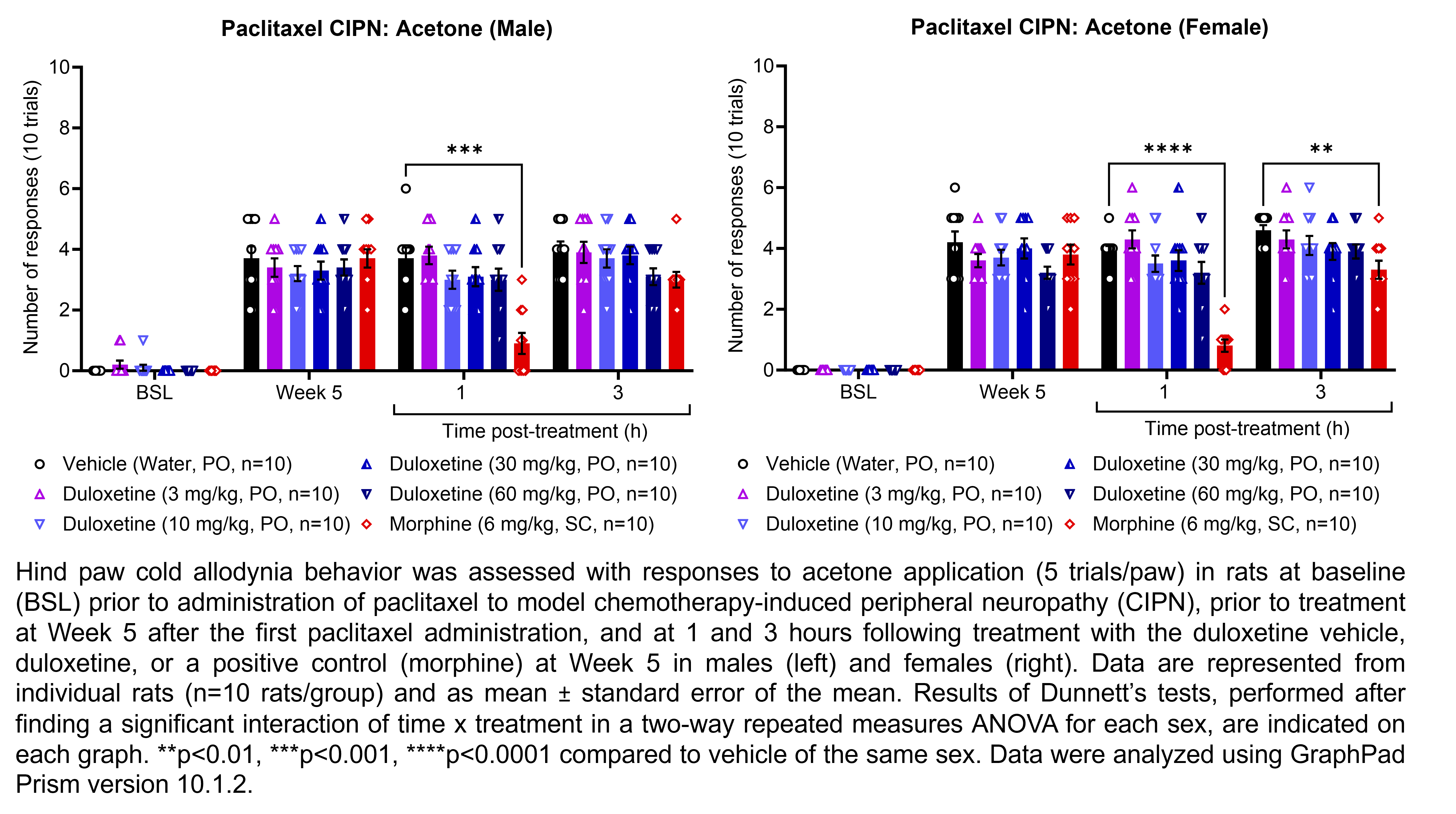 Two graphs show hind paw cold allodynia behavior assessed with 10 trials of the acetone evaporation test (5 per hind paw) in male or female rats that have undergone paclitaxel administration to model chemotherapy-induced peripheral neuropathy. Responses are shown at the following time points: baseline (before paclitaxel), prior to treatment at 5 weeks after the first paclitaxel administration, and at 1 and 3 hours after treatment at 5 weeks after paclitaxel. The treatments are vehicle (water, delivered PO), duloxetine (3, 10, 30, or 60 mg/kg, delivered PO), or the positive control morphine (6 mg/kg, delivered SC). There were 10 rats per group. A significant interaction of time x treatment was found in a two-way repeated measures ANOVA for each sex. Dunnett’s tests found significant decreases in acetone responses relative to vehicle in males at 1 hour post-treatment with morphine (p<0.001). Dunnett’s tests found significant decreases in acetone responses relative to vehicle in females at 1 and 3 hours post-treatment with morphine (p<0.0001, 0.01, respectively).