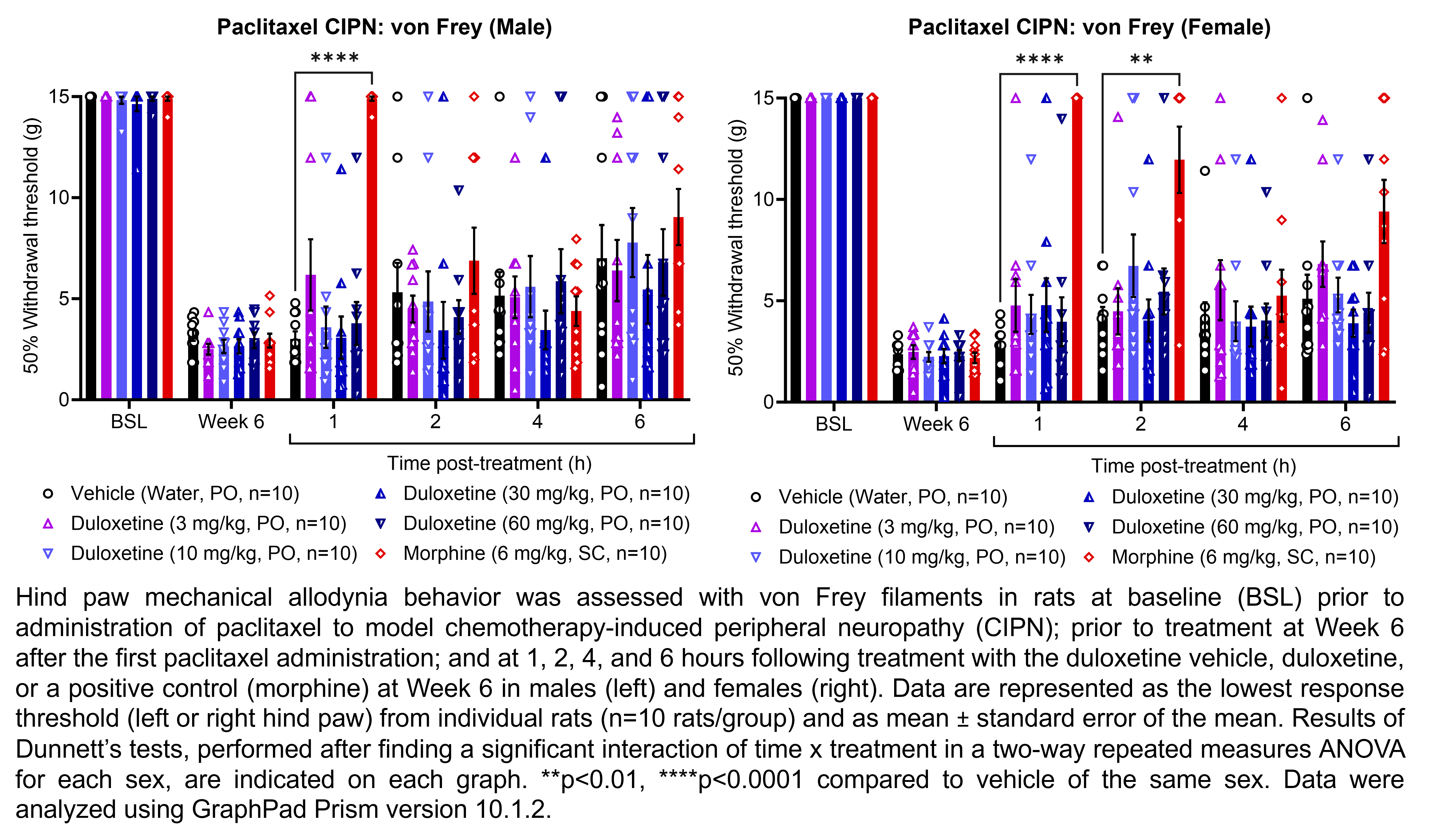 Two graphs show hind paw mechanical allodynia behavior assessed with von Frey filaments in male or female rats that have undergone paclitaxel administration to model chemotherapy-induced peripheral neuropathy. Responses are shown at the following time points: baseline (before paclitaxel administration), prior to treatment at 6 weeks after the start of paclitaxel administration, and at 1, 2, 4, and 6 hours after treatment at 6 weeks after paclitaxel administration. The treatments are vehicle (water, delivered PO), duloxetine (3, 10, 30, or 60 mg/kg, delivered PO), or the positive control morphine (6 mg/kg, delivered SC). Data are represented as the lowest response threshold (left or right hind paw) for each rat. There were 10 rats per group. A significant interaction of time x treatment was found in a two-way repeated measures ANOVA for each sex. Dunnett’s tests found significant increases in withdrawal thresholds relative to vehicle in males at 1 hour post-treatment with morphine (p<0.0001). Dunnett’s tests found significant increases in withdrawal thresholds relative to vehicle in females at 1 and 2 hours post-treatment with morphine (p<0.0001, 0.01, respectively).