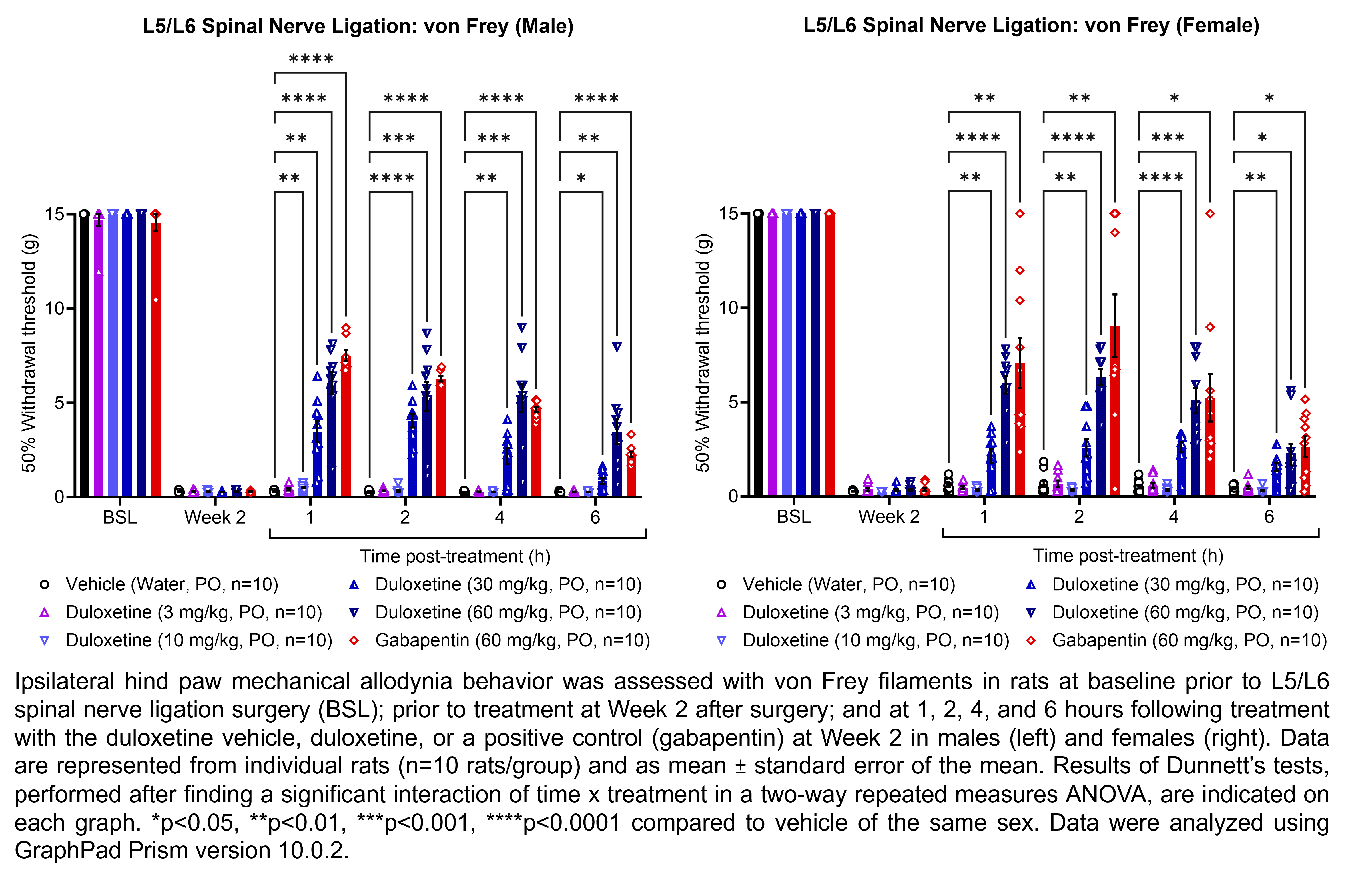 Two graphs show ipsilateral hind paw mechanical allodynia behavior assessed with von Frey filaments in male or female rats that have undergone L5/L6 spinal nerve ligation surgery. Responses are shown at the following time points: baseline (before surgery), prior to treatment at 2 weeks after surgery, and at 1, 2, 4, and 6 hours after treatment at 2 weeks after surgery. The treatments are vehicle (water, delivered PO), duloxetine (3, 10, 30, or 60 mg/kg, delivered PO), or the positive control gabapentin (60 mg/kg, delivered PO). There were 10 rats per group. A significant interaction of time x treatment was found in a two-way repeated measures ANOVA. Dunnett’s tests found significant differences from vehicle in males at 1 hour post-treatment with 10, 30, and 60 mg/kg duloxetine (p<0.01, 0.01, 0.0001, respectively) and gabapentin (p<0.0001); at 2 hours post-treatment with 30 mg/kg duloxetine (p<0.0001), 60 mg/kg duloxetine (p<0.001), and gabapentin (p<0.0001); at 4 hours post-treatment with 30 mg/kg duloxetine (p<0.01), 60 mg/kg duloxetine (p<0.001), and gabapentin (p<0.0001); and at 6 hours post-treatment with 30 mg/kg duloxetine (p<0.05), 60 mg/kg duloxetine (p<0.01), and gabapentin (p<0.0001). Dunnett’s tests found significant differences from vehicle in females at 1 hour post-treatment with 30 mg/kg duloxetine (p<0.01), 60 mg/kg duloxetine (p<0.0001), and gabapentin (p<0.01); at 2 hours post-treatment with 30 mg/kg duloxetine (p<0.01), 60 mg/kg duloxetine (p<0.0001), and gabapentin (p<0.01); at 4 hours post-treatment with 30 mg/kg duloxetine (p<0.0001), 60 mg/kg duloxetine (p<0.001), and gabapentin (p<0.05); and at 6 hours post-treatment with 30 mg/kg duloxetine (p<0.01), 60 mg/kg duloxetine (p<0.05), and gabapentin (p<0.05).