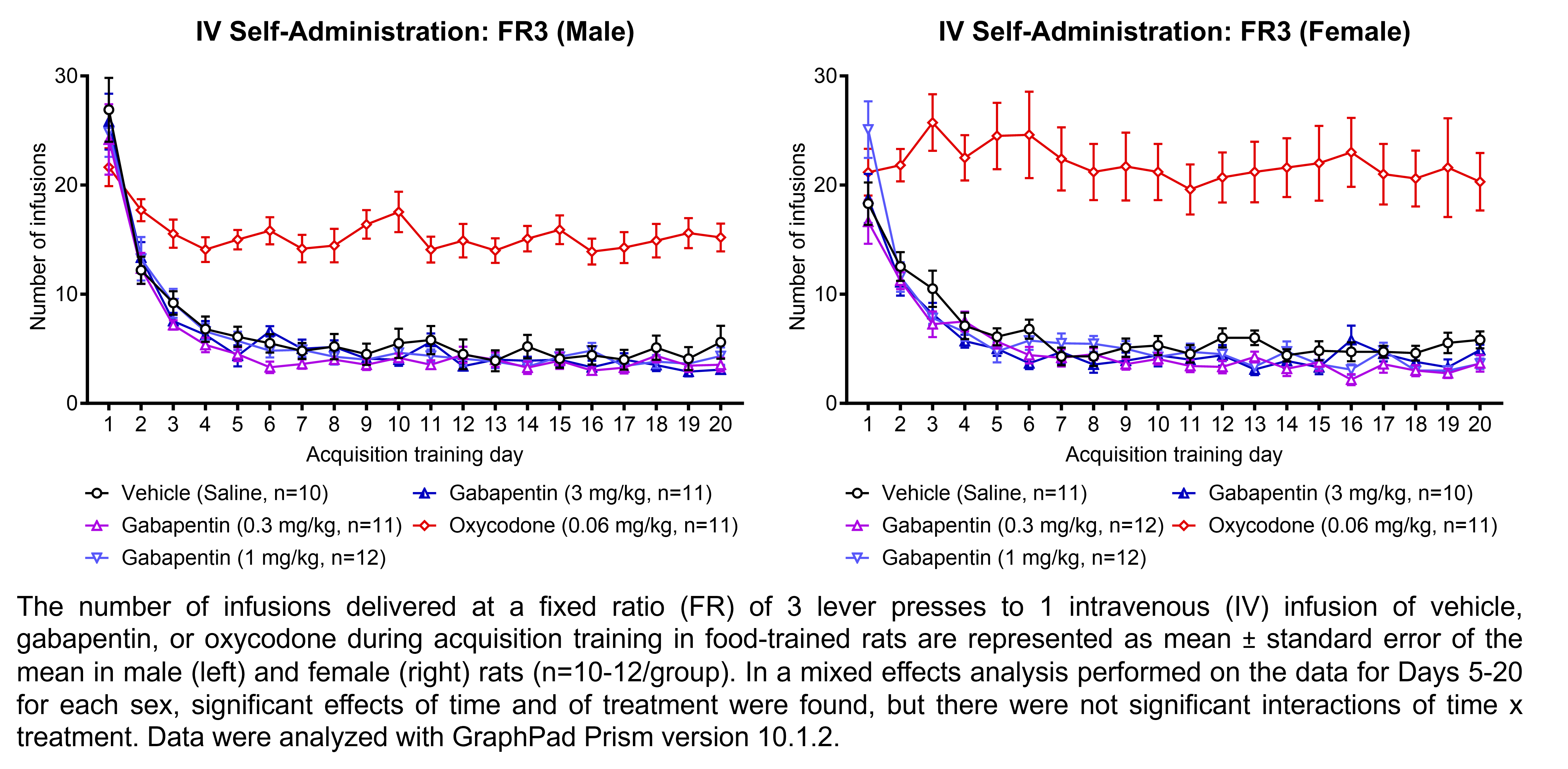 Two graphs show the number of infusions delivered in a fixed ratio of 3 lever presses for 1 intravenous infusion of vehicle (saline), gabapentin (0.3, 1, or 3 mg/kg/infusion), or oxycodone (0.06 mg/kg/infusion) after food training in male and female rats (n=10-12/group). In a mixed effects analysis performed on the data for Days 5-20 for each sex, significant effects of time and of treatment were found, but there were not significant interactions of time x treatment. Data were analyzed with GraphPad Prism.