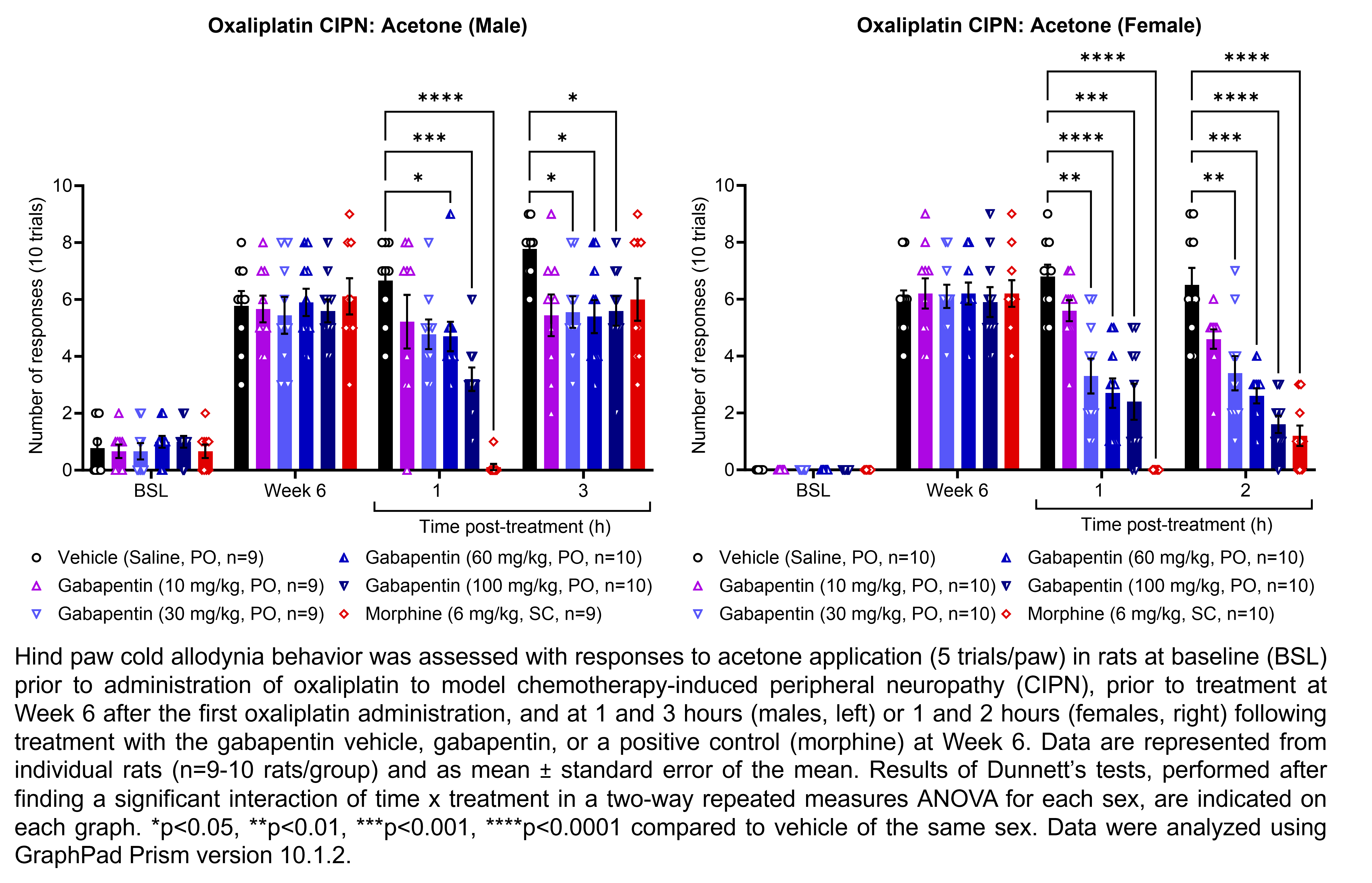 Two graphs show hind paw cold allodynia behavior assessed with 10 trials of the acetone evaporation test (5 per hind paw) in male or female rats that have undergone oxaliplatin administration to model chemotherapy-induced peripheral neuropathy. Responses are shown at the following time points: baseline (before oxaliplatin), prior to treatment at 6 weeks after the first oxaliplatin administration, and at 1 and 3 hours (males) or 1 and 2 hours (females) after treatment at 6 weeks after oxaliplatin. The treatments are vehicle (saline, delivered PO), gabapentin (10, 30, 60, or 100 mg/kg, delivered PO), or the positive control morphine (6 mg/kg, delivered SC). There were 10 rats per group. A significant interaction of time x treatment was found in a two-way repeated measures ANOVA for each sex. Dunnett’s tests found significant decreases in acetone responses relative to vehicle in males at 1 hour post-treatment with 60 mg/kg gabapentin (p<0.05), 100 mg/kg gabapentin (p<0.001), and morphine (p<0.0001) and at 3 hours post-treatment with 30 mg/kg gabapentin (p<0.05), 60 mg/kg gabapentin (p<0.05), and 100 mg/kg gabapentin (p<0.05). Dunnett’s tests found significant decreases in acetone responses relative to vehicle in females at 1 hour post-treatment with 30 mg/kg gabapentin (p<0.01), 60 mg/kg gabapentin (p<0.0001), 100 mg/kg gabapentin (p<0.001), and morphine (p<0.0001) and at 2 hours post-treatment with 30 mg/kg gabapentin (p<0.01), 60 mg/kg gabapentin (p<0.001), 100 mg/kg gabapentin (p<0.0001), and morphine (p<0.0001).