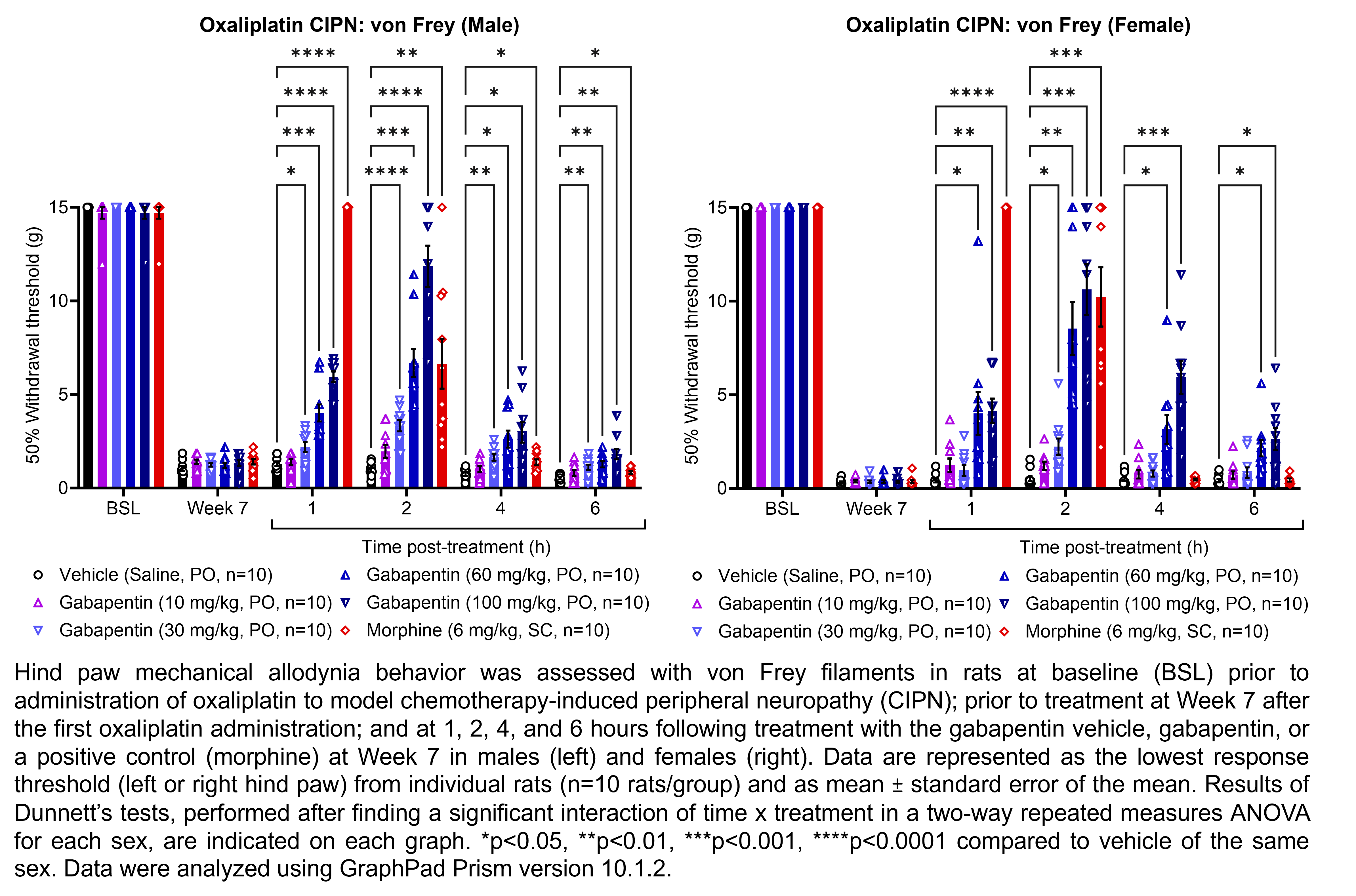 Two graphs show hind paw mechanical allodynia behavior assessed with von Frey filaments in male or female rats that have undergone oxaliplatin administration to model chemotherapy-induced peripheral neuropathy. Responses are shown at the following time points: baseline (before oxaliplatin administration), prior to treatment at 7 weeks after the start of oxaliplatin administration, and at 1, 2, 4, and 6 hours after treatment at 7 weeks after oxaliplatin administration. The treatments are vehicle (saline, delivered PO), gabapentin (10, 30, 60, or 100 mg/kg, delivered PO), or the positive control morphine (6 mg/kg, delivered SC). Data are represented as the lowest response threshold (left or right hind paw) for each rat. There were 10 rats per group. A significant interaction of time x treatment was found in a two-way repeated measures ANOVA for each sex. Dunnett’s tests found significant increases in withdrawal thresholds relative to vehicle in males at 1 hour post-treatment with 30 mg/kg gabapentin (p<0.05), 60 mg/kg gabapentin (p<0.001), 100 mg/kg gabapentin (p<0.0001), and morphine (p<0.0001); at 2 hours post-treatment with 30 mg/kg gabapentin (p<0.0001), 60 mg/kg gabapentin (p<0.001), 100 mg/kg gabapentin (p<0.0001), and morphine (p<0.01); at 4 hours post-treatment with 30 mg/kg gabapentin (p<0.01), 60 mg/kg gabapentin (p<0.05), 100 mg/kg gabapentin (p<0.05), and morphine (p<0.05); and at 6 hours post-treatment with 30 mg/kg gabapentin (p<0.01), 60 mg/kg gabapentin (p<0.01), 100 mg/kg gabapentin (p<0.01), and morphine (p<0.05). Dunnett’s tests found significant increases in withdrawal thresholds relative to vehicle in females at 1 hour post-treatment with 60 mg/kg gabapentin (p<0.05), 100 mg/kg gabapentin (p<0.01), and morphine (p<0.0001); at 2 hours post-treatment with 30 mg/kg gabapentin (p<0.05), 60 mg/kg gabapentin (p<0.01), 100 mg/kg gabapentin (p<0.001), and morphine (p<0.001); at 4 hours post-treatment with 60 mg/kg gabapentin (p<0.05) and 100 mg/kg gabapentin (p<0.001); and at 6 hours post-treatment with 60 mg/kg gabapentin (p<0.05) and 100 mg/kg gabapentin (p<0.05).