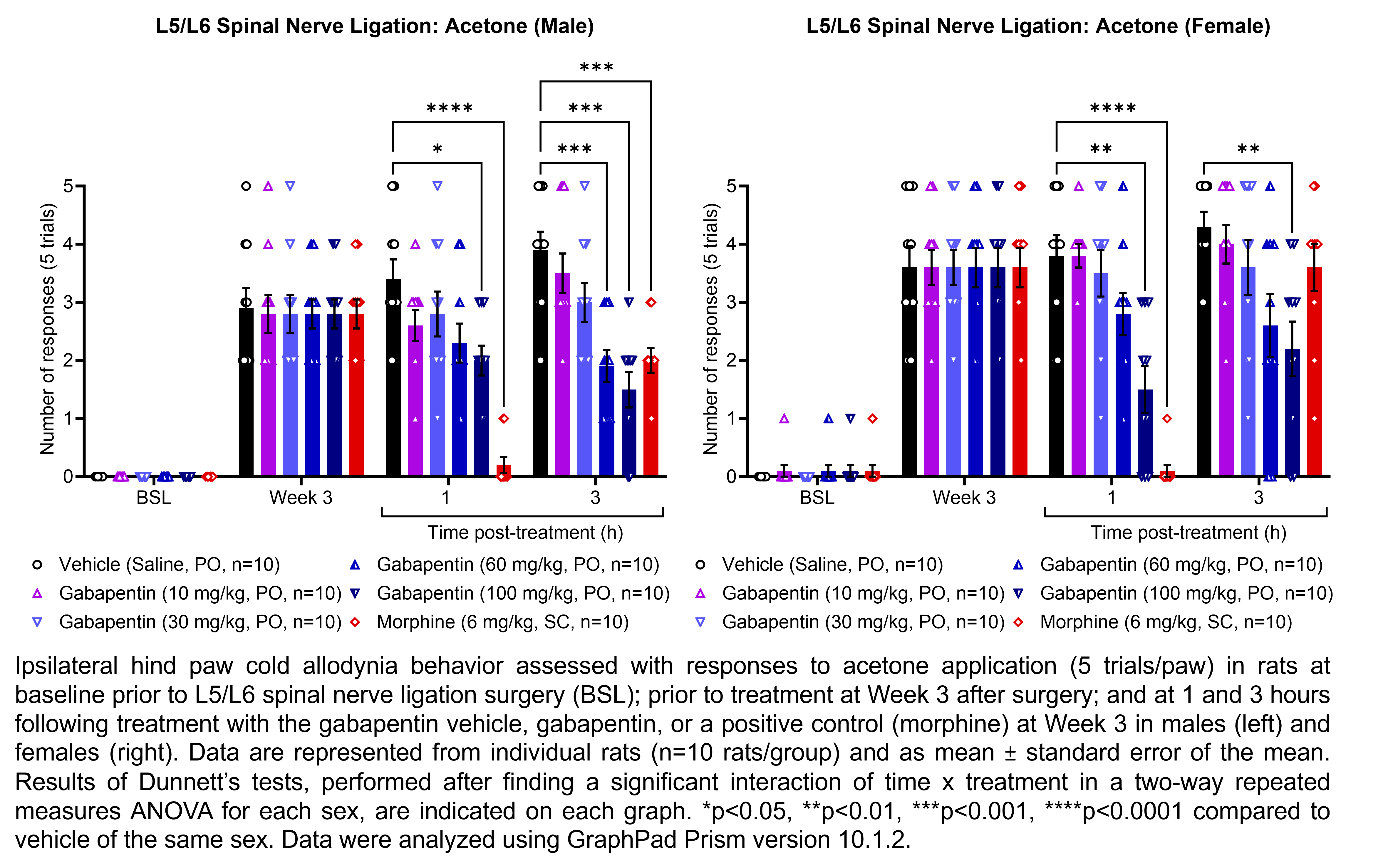 Two graphs show ipsilateral hind paw cold allodynia behavior assessed with 5 trials of the acetone evaporation test in male or female rats that have undergone L5/L6 spinal nerve ligation surgery. Responses are shown at the following time points: baseline (before surgery), prior to treatment at 3 weeks after surgery, and at 1 and 3 hours after treatment at 3 weeks after surgery. The treatments are vehicle (saline, delivered PO), gabapentin (10, 30, 60, or 100 mg/kg, delivered PO), or the positive control morphine (6 mg/kg, delivered SC). There were 10 rats per group. A significant interaction of time x treatment was found in a two-way repeated measures ANOVA for each sex. Dunnett’s tests found significant decreases in acetone responses relative to vehicle in males at 1 hour post-treatment with 100 mg/kg gabapentin (p<0.05) and morphine (p<0.0001) and at 3 hours post-treatment with 60 mg/kg gabapentin (p<0.001), 100 mg/kg gabapentin (p<0.001), and morphine (p<0.001). Dunnett’s tests found significant decreases in acetone responses relative to vehicle in females at 1 hour post-treatment with 100 mg/kg gabapentin (p<0.01) and morphine (p<0.0001) and at 3 hours post-treatment with 100 mg/kg gabapentin (p<0.01). Data were analyzed using GraphPad Prism version 10.1.2