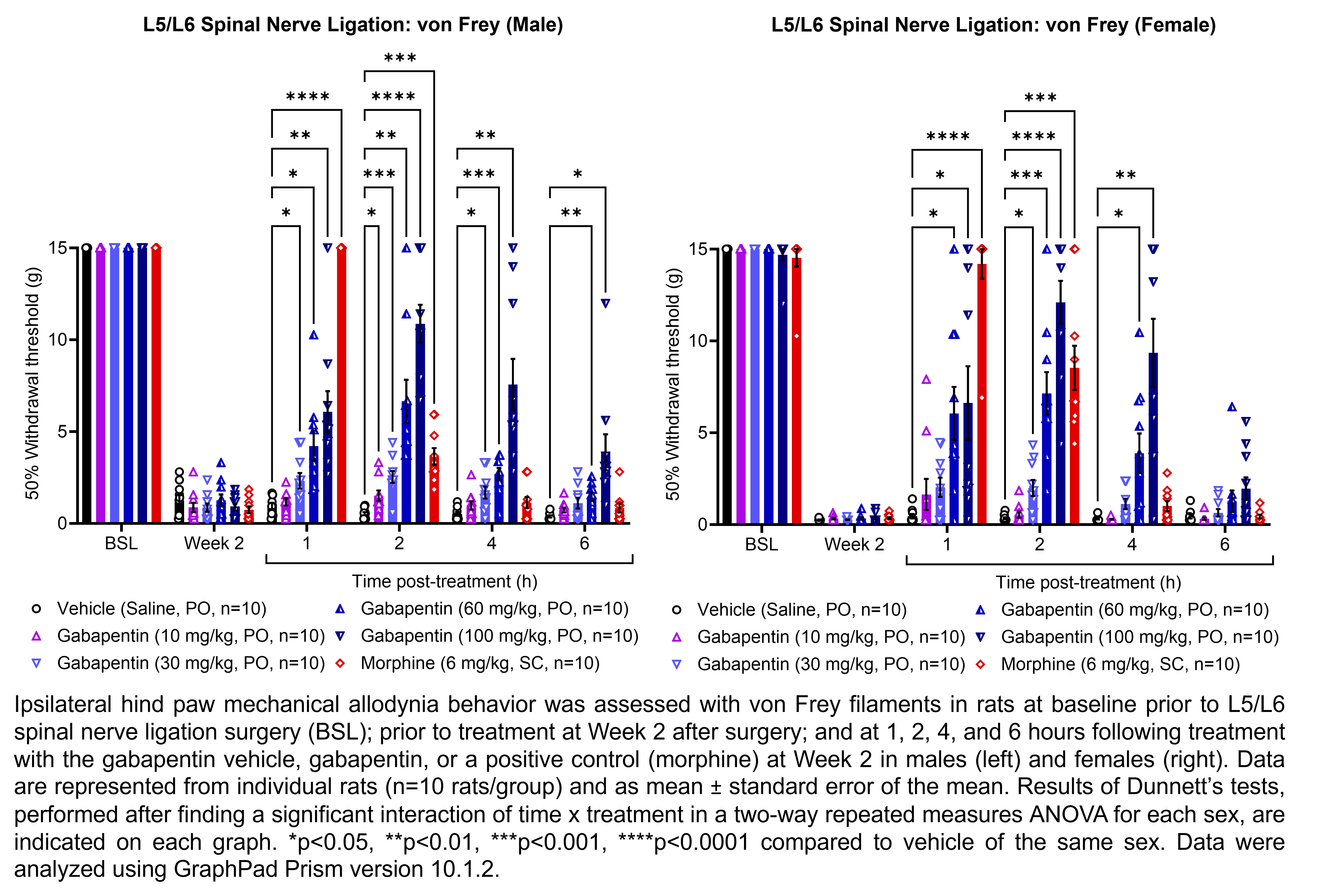 Two graphs show ipsilateral hind paw mechanical allodynia behavior assessed with von Frey filaments in male or female rats that have undergone L5/L6 spinal nerve ligation surgery. Responses are shown at the following time points: baseline (before surgery), prior to treatment at 2 weeks after surgery, and at 1, 2, 4, and 6 hours after treatment at 2 weeks after surgery. The treatments are vehicle (saline, delivered PO), gabapentin (10, 30, 60, or 100 mg/kg, delivered PO), or the positive control morphine (6 mg/kg, delivered SC). There were 10 rats per group. A significant interaction of time x treatment was found in a two-way repeated measures ANOVA for each sex. Dunnett’s tests found significant increases in withdrawal thresholds relative to vehicle in males at 1 hour post-treatment with 30, 60, and 100 mg/kg gabapentin (p<0.05, 0.05, 0.01, respectively) and morphine (p<0.0001); at 2 hours post-treatment with 10, 30, 60, and 100 mg/kg gabapentin (p<0.05, 0.001, 0.01, 0.0001, respectively) and morphine (p<0.001); at 4 hours post-treatment with 30, 60, and 100 mg/kg gabapentin (p<0.05, 0.001, 0.01, respectively); and at 6 hours post-treatment with 60 mg/kg gabapentin (p<0.01) and 100 mg/kg gabapentin (p<0.05). Dunnett’s tests found significant increases in withdrawal thresholds relative to vehicle in females at 1 hour post-treatment with 60 mg/kg gabapentin (p<0.05), 100 mg/kg gabapentin (p<0.05), and morphine (p<0.0001); at 2 hours post-treatment with 30, 60, and 100 mg/kg gabapentin (p<0.05, 0.001, 0.0001, respectively) and morphine (p<0.001); and at 4 hours post-treatment with 60 mg/kg gabapentin (p<0.05) and 100 mg/kg gabapentin (p<0.01). Data were analyzed using GraphPad Prism version 10.1.2.