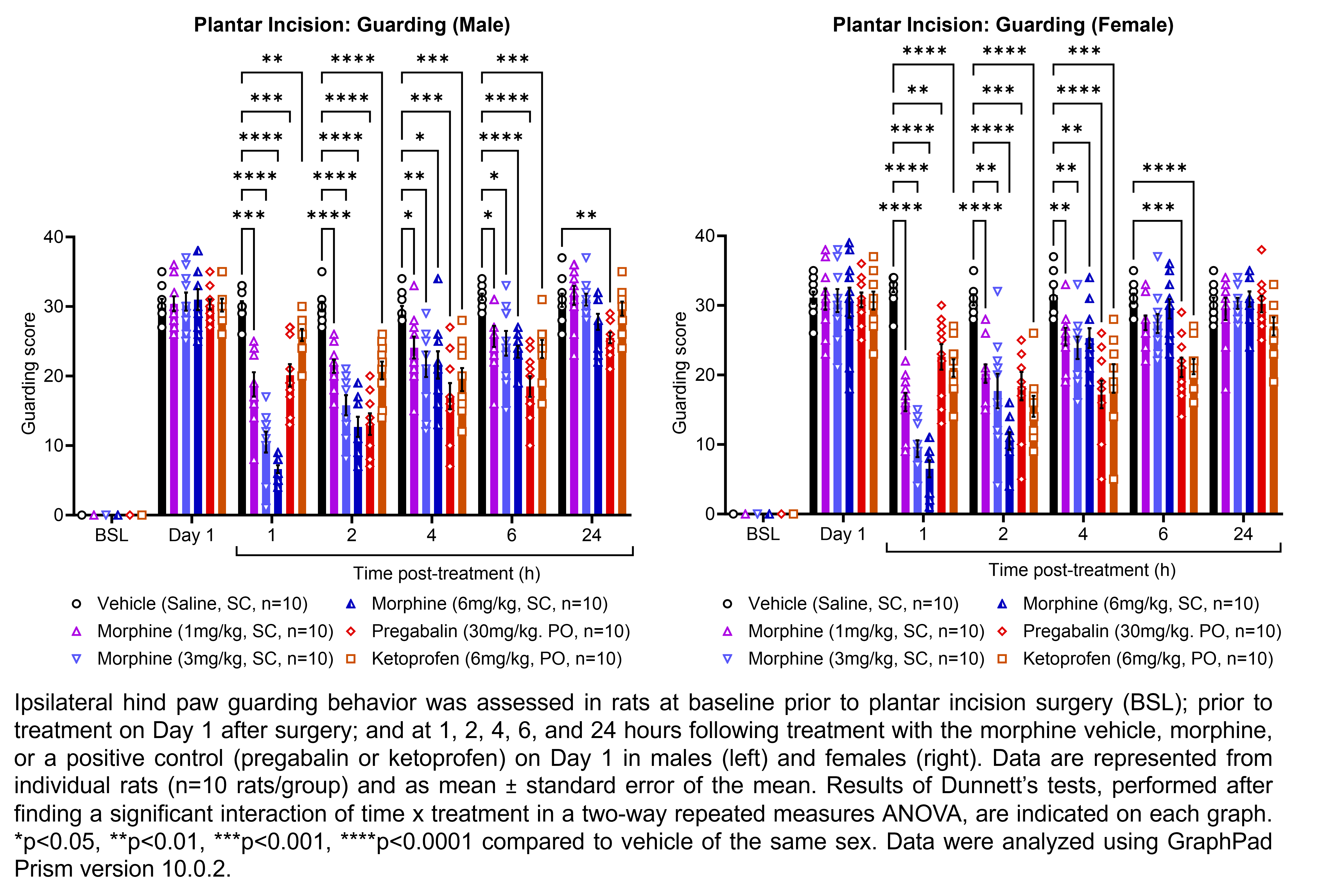 Two graphs show ipsilateral hind paw guarding behavior evaluated in male or female rats that have undergone plantar incision surgery. Responses are shown at the following time points: baseline (before surgery), prior to treatment at 1 day after surgery, and at 1, 2, 4, 6, and 24 hours after treatment at 1 day after surgery. The treatments are vehicle (saline, delivered SC), morphine (1, 3, or 6 mg/kg, delivered SC), or one of two positive controls: pregabalin (30 mg/kg, delivered PO) or ketoprofen (6 mg/kg, delivered PO). There were 10 rats per group. A significant interaction of time x treatment was found in a two-way repeated measures ANOVA. Dunnett’s tests found significant differences from vehicle in males at 1 hour post-treatment with 1, 3, and 6 mg/kg morphine (p<0.001, 0.0001, 0.0001, respectively), pregabalin (p<0.001), and ketoprofen (p<0.01); at 2 hours post-treatment with 1, 3, and 6 mg/kg morphine, pregabalin, and ketoprofen (p<0.0001 for all comparisons); at 4 hours post-treatment with 1, 3, and 6 mg/kg morphine (p<0.05, 0.01, 0.05, respectively), pregabalin (p<0.001), and ketoprofen (p<0.001); at 6 hours post-treatment with 1, 3, and 6 mg/kg morphine (p<0.05, 0.05, 0.0001, respectively), pregabalin (p<0.0001), and ketoprofen (p<0.001); and at 24 hours post-treatment with pregabalin (p<0.01). Dunnett’s tests found significant differences from vehicle in females at 1 hour post-treatment with 1, 3, and 6 mg/kg morphine (p<0.0001 for all comparisons), pregabalin (p<0.01), and ketoprofen (p<0.0001); at 2 hours post-treatment with 1, 3, and 6 mg/kg morphine (p<0.0001, 0.01, 0.0001, respectively), pregabalin (p<0.001), and ketoprofen (p<0.0001); at 4 hours post-treatment with 1, 3, and 6 mg/kg morphine (p<0.01 for all comparisons), pregabalin (p<0.0001), and ketoprofen (p<0.001); and at 6 hours post-treatment with pregabalin (p<0.001) and ketoprofen (p<0.0001).