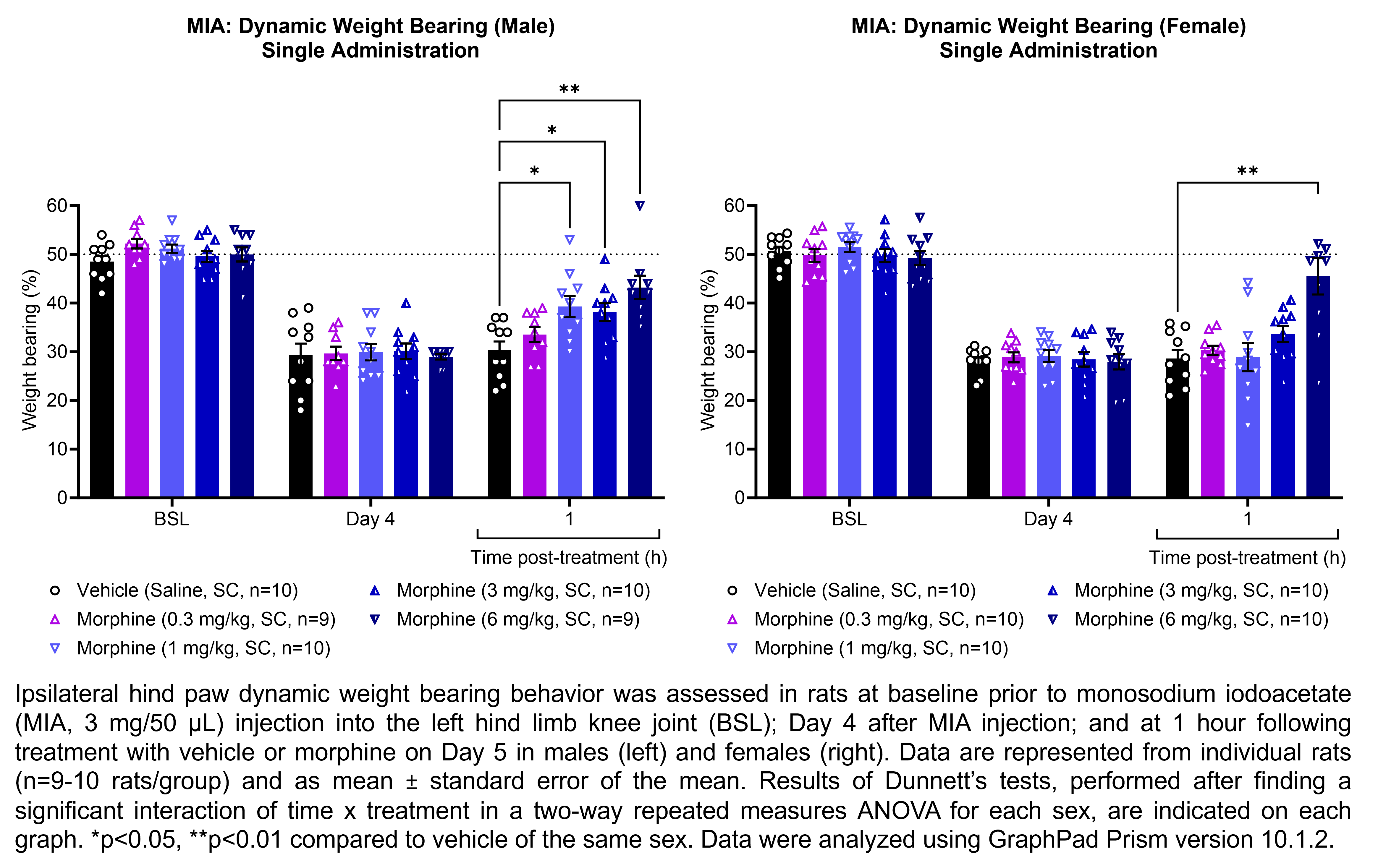 Two graphs show ipsilateral hind paw dynamic weight bearing behavior in male or female rats that have undergone injection of monosodium iodoacetate (MIA, 3 mg/50 µL) in the left hind limb knee joint. Responses are shown at the following time points: baseline (before MIA injection), Day 4 after MIA injection, and at 1 hour after treatment on Day 5. The treatments are vehicle (saline, delivered PO), pregabalin (10, 30, or 60 mg/kg, delivered PO), or the positive control morphine (6 mg/kg, delivered SC). There were 8-9 rats per group. A significant interaction of time x treatment was found in a two-way repeated measures ANOVA for each sex. Dunnett’s tests found significant increases in hind paw dynamic weight bearing relative to vehicle in males at 1 hour post-treatment with 1 mg/kg morphine (p<0.05), 3 mg/kg morphine (p<0.05), and 6 mg/kg morphine (p<0.01). Dunnett’s tests found significant increases in hind paw dynamic weight bearing relative to vehicle in females at 1 hour post-treatment with 6 mg/kg morphine (p<0.01).