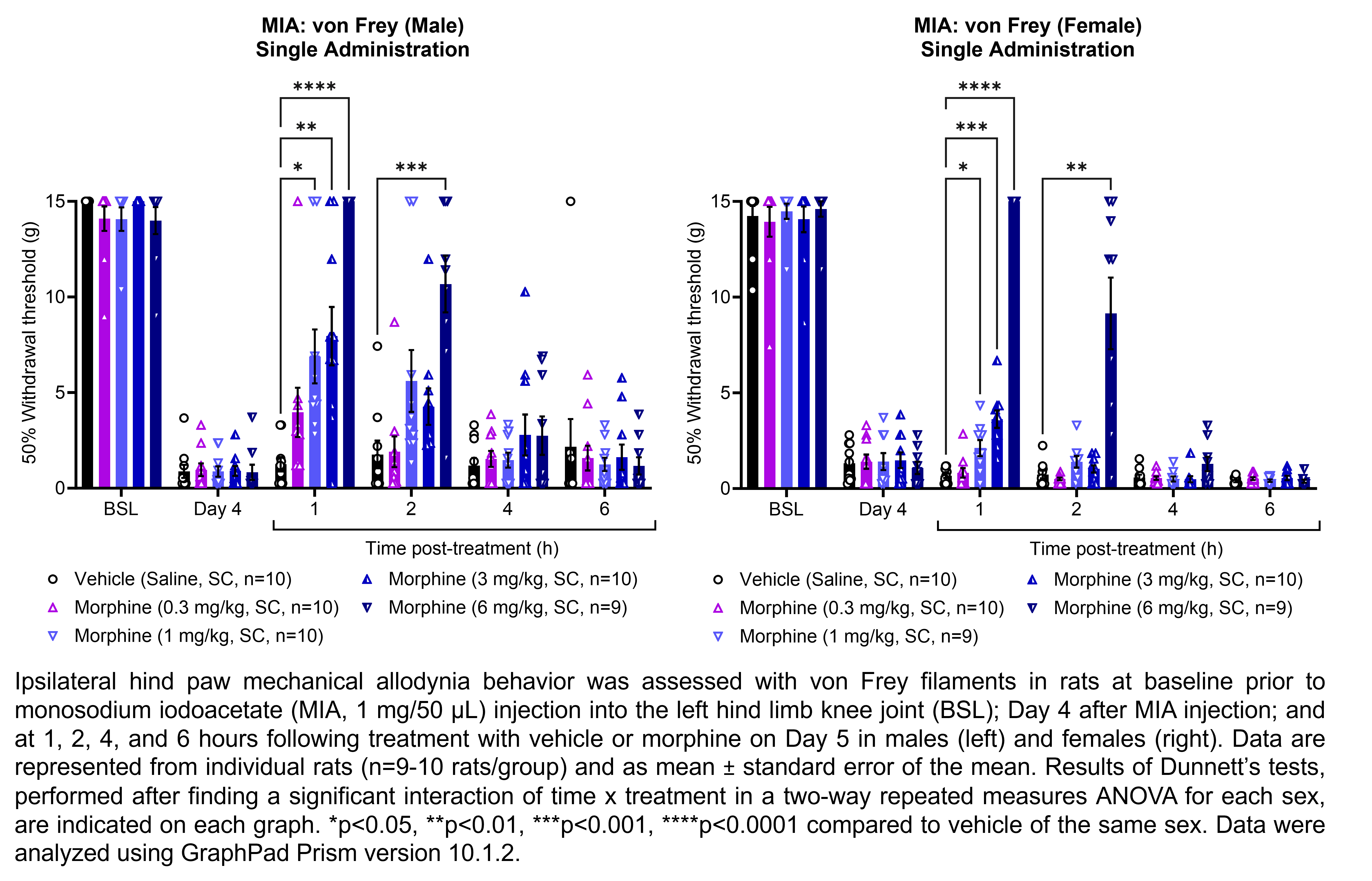 Two graphs show ipsilateral hind paw mechanical allodynia behavior assessed with von Frey filaments in male or female rats that have undergone injection of monosodium iodoacetate (MIA, 1 mg/50 µL) in the left hind limb knee joint. Responses are shown at the following time points: baseline (before MIA injection), Day 4 after MIA injection, and at 1, 2, 4, and 6 hours after treatment on Day 5. The treatments are vehicle (saline, delivered SC) or morphine (0.3, 1, 3, or 6 mg/kg, delivered SC). There were 9-10 rats per group. A significant interaction of time x treatment was found in a two-way repeated measures ANOVA for each sex. Dunnett’s tests found significant increases in withdrawal thresholds relative to vehicle in males at 1 hour post-treatment with 1 mg/kg morphine (p<0.05), 3 mg/kg morphine (p<0.01), and 6 mg/kg morphine (p<0.0001) and at 2 hours post-treatment with 6 mg/kg morphine (p<0.001). Dunnett’s tests found significant increases in withdrawal thresholds relative to vehicle in females at 1 hour post-treatment with 1 mg/kg morphine (p<0.05), 3 mg/kg morphine (p<0.001), and 6 mg/kg morphine (p<0.0001) and at 2 hours post-treatment with 6 mg/kg morphine (p<0.01).