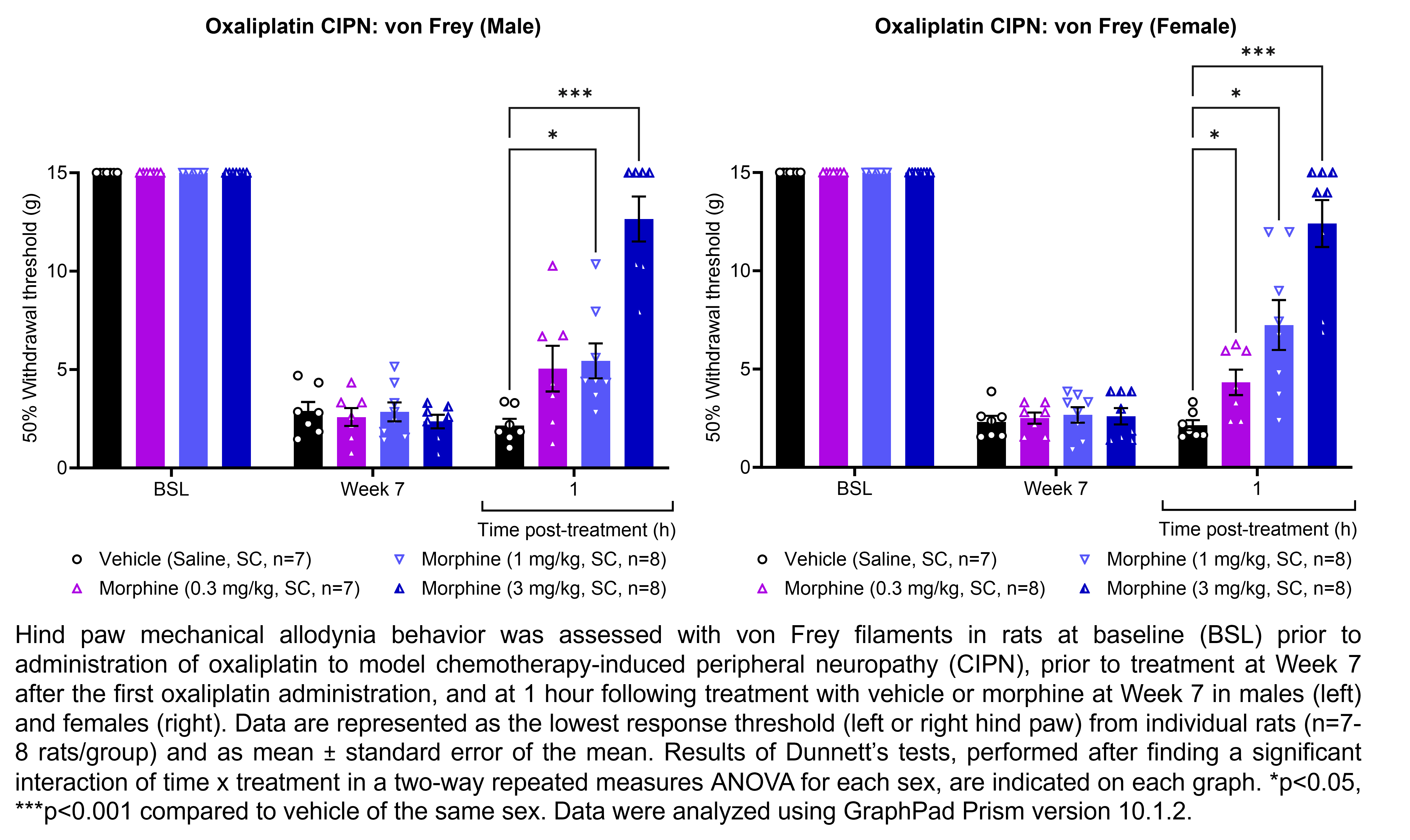 Two graphs show hind paw mechanical allodynia behavior assessed with von Frey filaments in male or female rats that have undergone oxaliplatin administration to model chemotherapy-induced peripheral neuropathy. Responses are shown at the following time points: baseline (before oxaliplatin administration), prior to treatment at 7 weeks after the start of oxaliplatin administration, and at 1 hour after treatment at 7 weeks after oxaliplatin administration. The treatments are vehicle (saline, delivered SC) or morphine (0.3, 1, or 3 mg/kg, delivered SC). Data are represented as the lowest response threshold (left or right hind paw) for each rat. There were 7-8 rats per group. A significant interaction of time x treatment was found in a two-way repeated measures ANOVA for each sex. Dunnett’s tests found significant increases in withdrawal thresholds relative to vehicle in males at 1 hour post-treatment with 1 mg/kg and 3 mg/kg morphine (p<0.05, 0.001, respectively). Dunnett’s tests found significant increases in withdrawal thresholds relative to vehicle in females at 1 hour post-treatment with 0.3, 1, and 3 morphine (p<0.05, 0.05, 0.001, respectively).