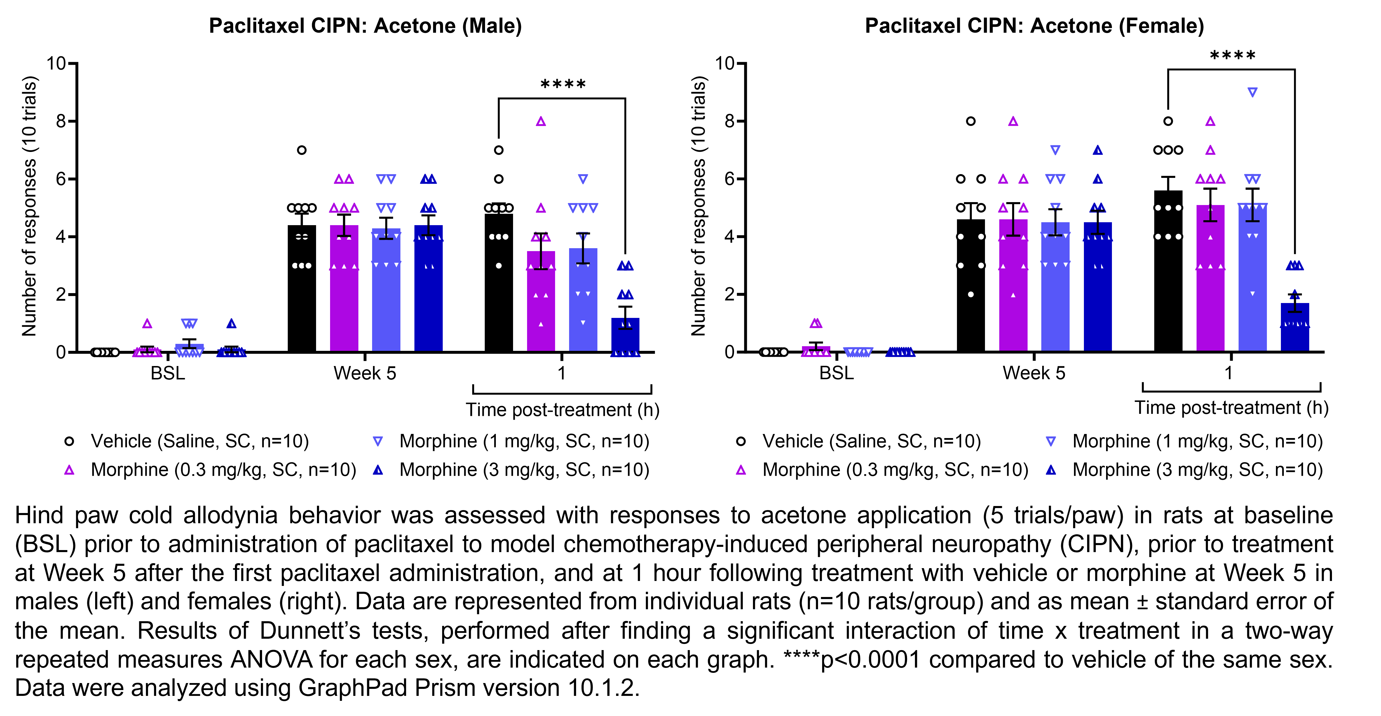 Two graphs show hind paw cold allodynia behavior assessed with 10 trials of the acetone evaporation test (5 per hind paw) in male or female rats that have undergone paclitaxel administration to model chemotherapy-induced peripheral neuropathy. Responses are shown at the following time points: baseline (before paclitaxel), prior to treatment at 5 weeks after the first paclitaxel administration, and at 1 hour after treatment at 5 weeks after paclitaxel administration. The treatments are vehicle (saline, delivered SC) or morphine (0.3, 1, or 3 mg/kg, delivered SC). There were 10 rats per group. A significant interaction of time x treatment was found in a two-way repeated measures ANOVA for each sex. Dunnett’s tests found significant decreases in acetone responses relative to vehicle in males and females at 1 hour post-treatment with 3 mg/kg morphine (p<0.0001 for each comparison).