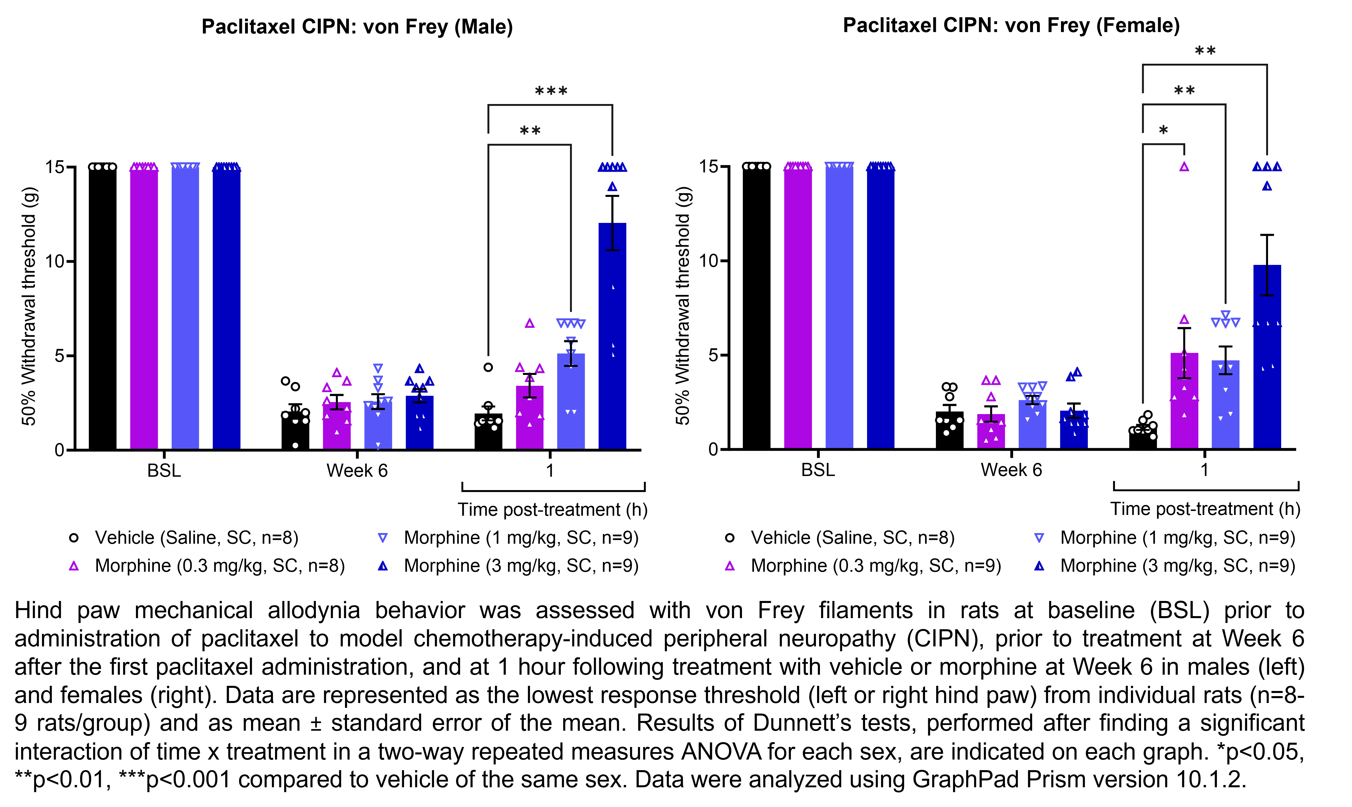 Two graphs show hind paw mechanical allodynia behavior assessed with von Frey filaments in male or female rats that have undergone paclitaxel administration to model chemotherapy-induced peripheral neuropathy. Responses are shown at the following time points: baseline (before paclitaxel administration), prior to treatment at 6 weeks after the start of paclitaxel administration, and at 1 hour after treatment at 6 weeks after paclitaxel administration. The treatments are vehicle (saline, delivered SC) or morphine (0.3, 1, or 3 mg/kg, delivered SC). Data are represented as the lowest response threshold (left or right hind paw) for each rat. There were 8-9 rats per group. A significant interaction of time x treatment was found in a two-way repeated measures ANOVA for each sex. Dunnett’s tests found significant increases in withdrawal thresholds relative to vehicle in males at 1 hour post-treatment with 1 mg/kg morphine (p<0.01) and 3 mg/kg morphine (p<0.001). Dunnett’s tests found significant increases in withdrawal thresholds relative to vehicle in females at 1 hour post-treatment with 0.3, 1, and 3 mg/kg morphine (p<0.05, 0.01, 0.01, respectively).