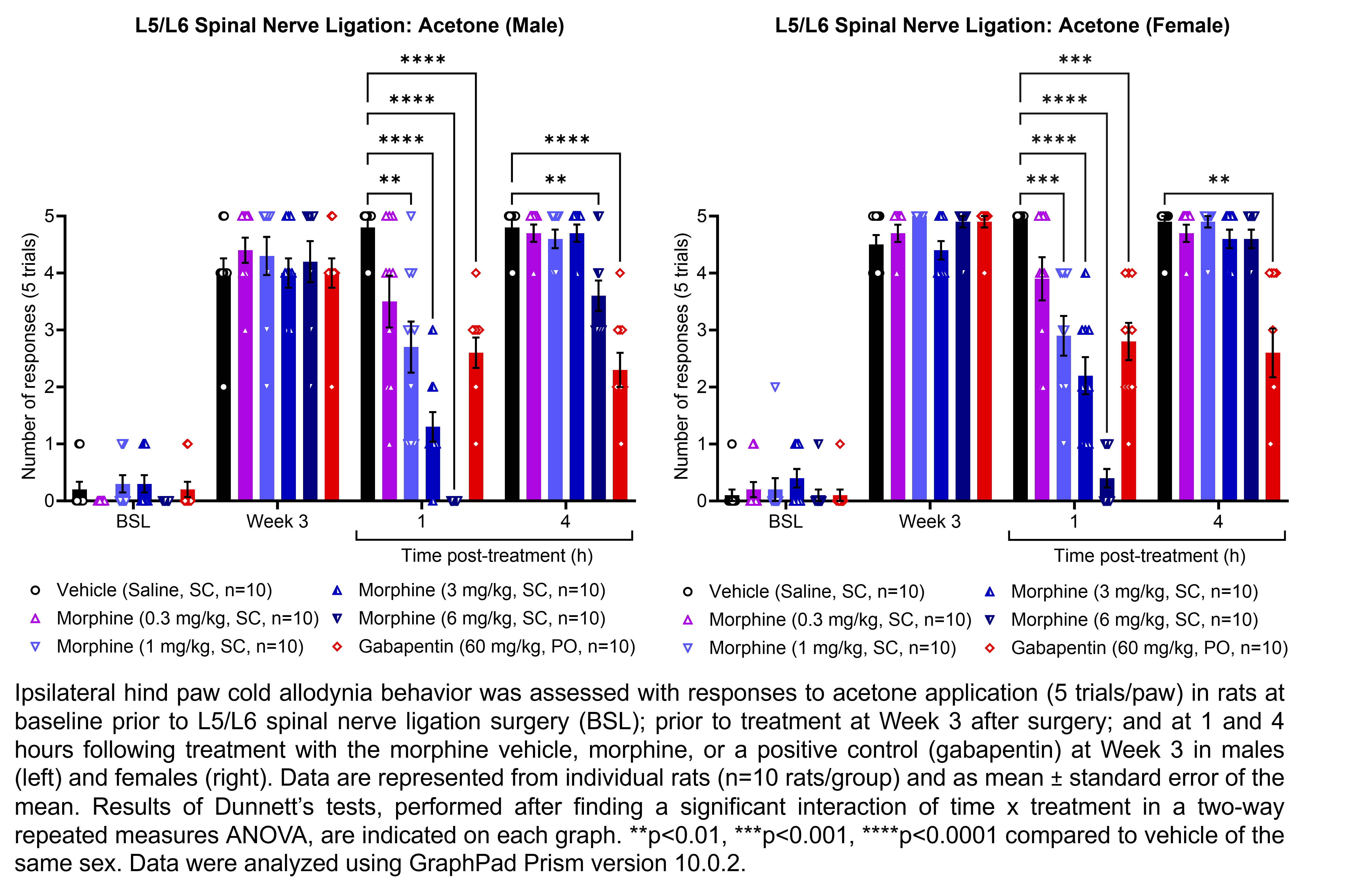 Two graphs show ipsilateral hind paw cold allodynia behavior assessed with 5 trials of the acetone evaporation test in male or female rats that have undergone L5/L6 spinal nerve ligation surgery. Responses are shown at the following time points: baseline (before surgery), prior to treatment at 3 weeks after surgery, and at 1 and 4 hours after treatment at 3 weeks after surgery. The treatments are vehicle (saline, delivered SC), morphine (0.3, 1, 3, or 6 mg/kg, delivered SC), or the positive control gabapentin (60 mg/kg, delivered PO). There were 10 rats per group. A significant interaction of time x treatment was found in a two-way repeated measures ANOVA. Dunnett’s tests found significant differences from vehicle in males at 1 hour post-treatment with 1, 3, and 6 mg/kg morphine (p<0.01, 0.0001, 0.0001, respectively) and gabapentin (p<0.0001) and at 4 hours post-treatment with 6 mg/kg morphine (p<0.01) and gabapentin (p<0.0001). Dunnett’s tests found significant differences from vehicle in females at 1 hour post-treatment with 1, 3, and 6 mg/kg morphine (p<0.001, 0.0001, 0.0001, respectively) and gabapentin (p<0.001) and at 4 hours post-treatment with gabapentin (p<0.01).