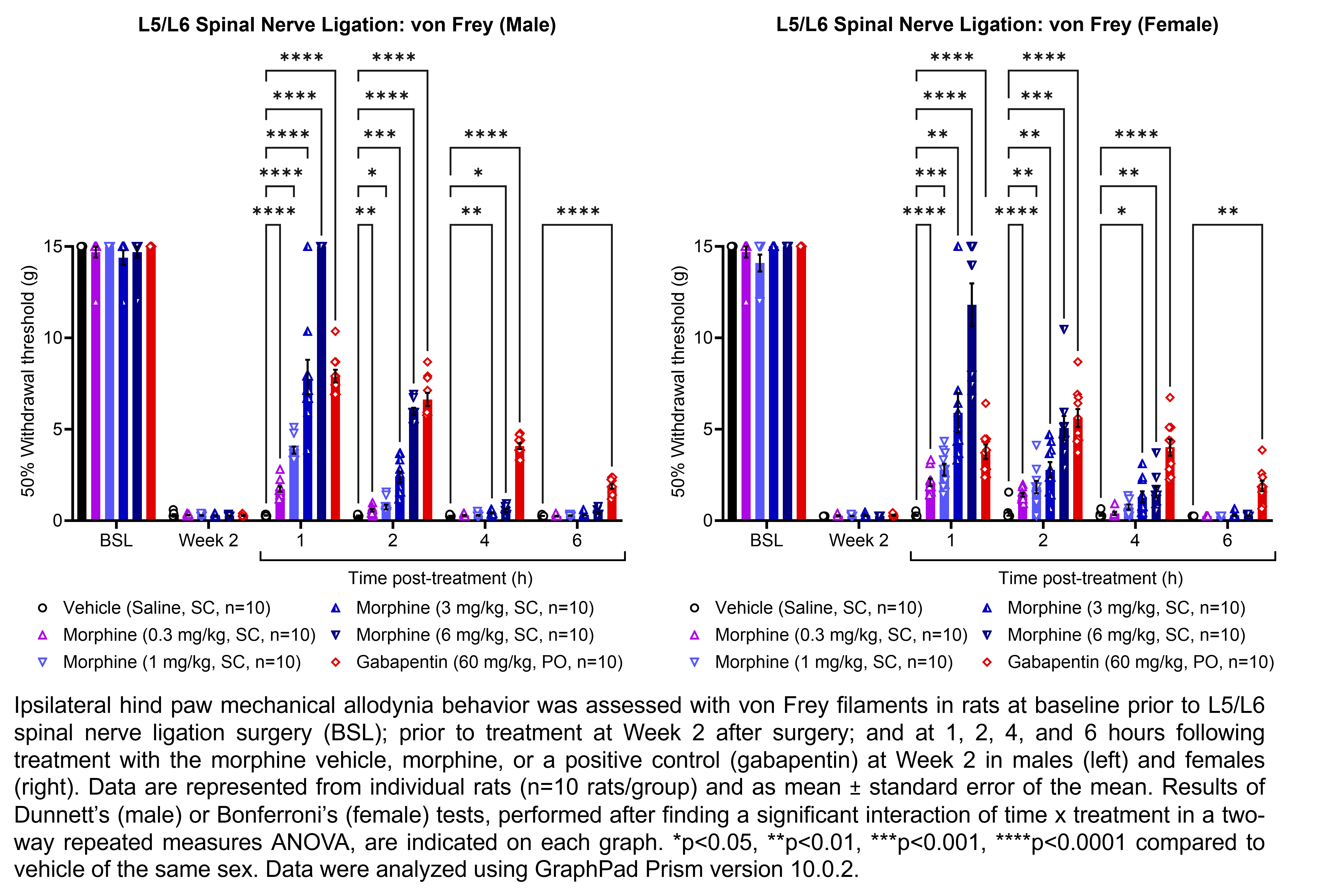 Two graphs show ipsilateral hind paw mechanical allodynia behavior assessed with von Frey filaments in male or female rats that have undergone L5/L6 spinal nerve ligation surgery. Responses are shown at the following time points: baseline (before surgery), prior to treatment at 2 weeks after surgery, and at 1, 2, 4, and 6 hours after treatment at 2 weeks after surgery. The treatments are vehicle (saline, delivered SC), morphine (0.3, 1, 3, or 6 mg/kg, delivered SC), or the positive control gabapentin (60 mg/kg, delivered PO). There were 10 rats per group. A significant interaction of time x treatment was found in a two-way repeated measures ANOVA. Dunnett’s tests found significant differences from vehicle in males at 1 hour post-treatment with 0.3, 1, 3, and 6 mg/kg morphine and gabapentin (p<0.0001 for all comparisons); at 2 hours post-treatment with 0.3, 1, 3, and 6 mg/kg morphine (p<0.01, 0.05, 0.001, 0.0001, respectively) and gabapentin (p<0.0001); at 4 hours post-treatment with 3 mg/kg morphine (p<0.01), 6 mg/kg morphine (p<0.05), and gabapentin (p<0.0001); and at 6 hours post-treatment with gabapentin (p<0.0001). Bonferroni’s tests found significant differences from vehicle in females at 1 hour post-treatment with 0.3, 1, 3, and 6 mg/kg morphine (p<0.0001, 0.001, 0.01, 0.0001, respectively) and gabapentin (p<0.0001); at 2 hours post-treatment with 0.3, 1, 3, and 6 mg/kg morphine (p<0.0001, 0.01, 0.01, 0.001, respectively) and gabapentin (p<0.0001); at 4 hours post-treatment with 3 mg/kg morphine (p<0.05), 6 mg/kg morphine (p<0.01), and gabapentin (p<0.0001); and at 6 hours post-treatment with gabapentin (p<0.01).