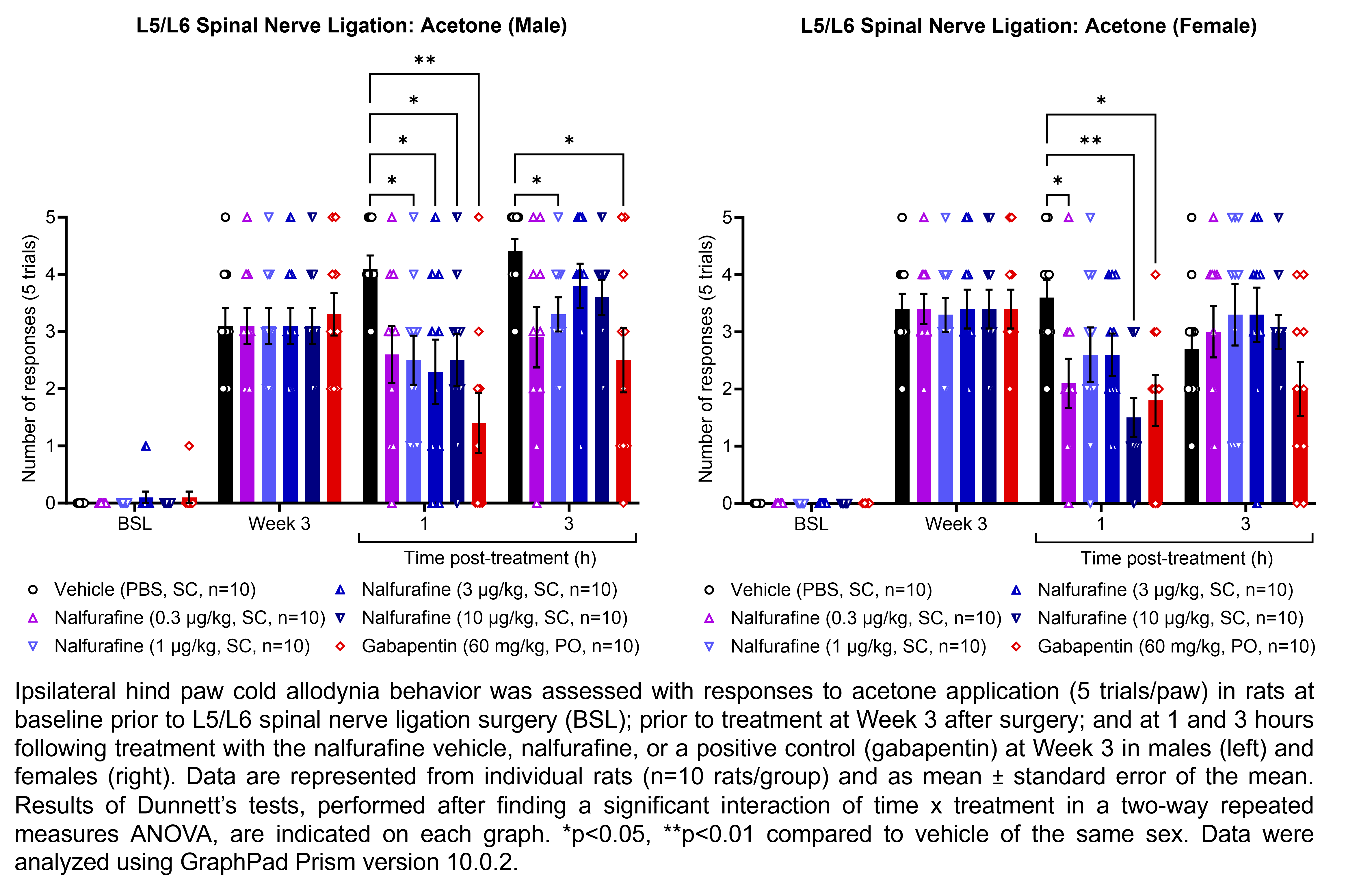 Two graphs show ipsilateral hind paw cold allodynia behavior assessed with 5 trials of the acetone evaporation test in male or female rats that have undergone L5/L6 spinal nerve ligation surgery. Responses are shown at the following time points: baseline (before surgery), prior to treatment at 3 weeks after surgery, and at 1 and 3 hours after treatment at 3 weeks after surgery. The treatments are vehicle (PBS, delivered SC), nalfurafine (0.3, 1, 3, or 10 ìg/kg, delivered SC), or the positive control gabapentin (60 mg/kg, delivered PO). There were 10 rats per group. A significant interaction of time x treatment was found in a two-way repeated measures ANOVA for each sex. Dunnett’s tests found significantly lower acetone responses relative to vehicle in males at 1 hour post-treatment with 1, 3, and 10 ìg/kg nalfurafine (p<0.05 for all comparisons) and gabapentin (p<0.01) and at 3 hours post-treatment with 1 ìg/kg nalfurafine (p<0.05) and gabapentin (p<0.05). Dunnett’s tests found significantly lower acetone responses relative to vehicle in females at 1 hour post-treatment with 0.3 ìg/kg nalfurafine (p<0.05), 10 ìg/kg nalfurafine (p<0.01), and gabapentin (p<0.05).