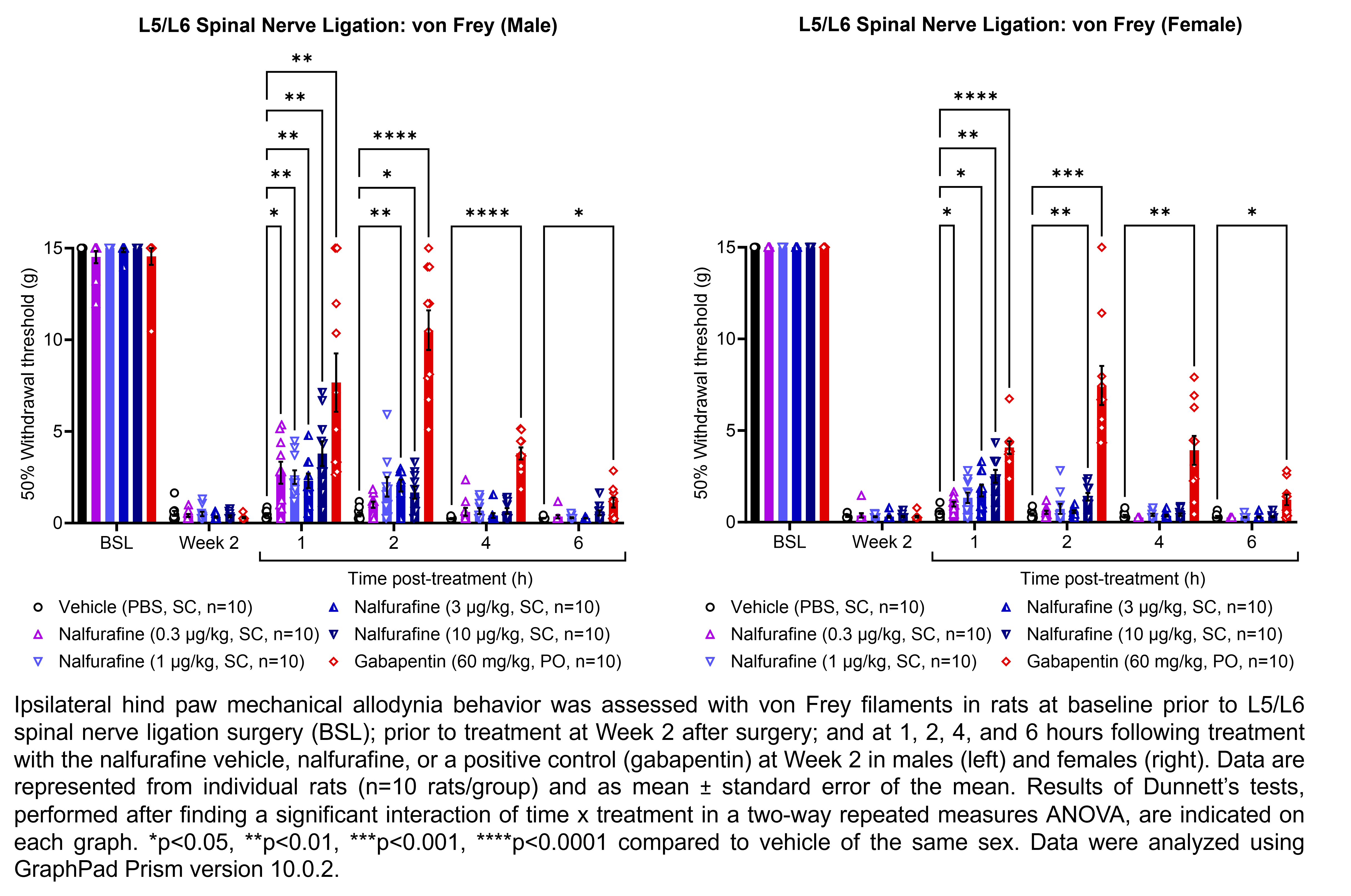 Two graphs show ipsilateral hind paw mechanical allodynia behavior assessed with von Frey filaments in male or female rats that have undergone L5/L6 spinal nerve ligation surgery. Responses are shown at the following time points: baseline (before surgery), prior to treatment at 2 weeks after surgery, and at 1, 2, 4, and 6 hours after treatment at 2 weeks after surgery. The treatments are vehicle (PBS, delivered SC), nalfurafine (0.3, 1, 3, or 10 ìg/kg, delivered SC), or the positive control gabapentin (60 mg/kg, delivered PO). There were 10 rats per group. A significant interaction of time x treatment was found in a two-way repeated measures ANOVA for each sex. Dunnett’s tests found significantly higher withdrawal thresholds relative to vehicle in males at 1 hour post-treatment with 0.3, 1, 3, and 10 ìg/kg nalfurafine (p<0.05, 0.01, 0.01, 0.01, respectively) and gabapentin (p<0.01); at 2 hours post-treatment with 3 ìg/kg nalfurafine (p<0.01), 10 ìg/kg nalfurafine (p<0.05), and gabapentin (p<0.0001); at 4 hours post-treatment with gabapentin (p<0.0001); and at 6 hours post-treatment with gabapentin (p<0.05). Dunnett’s tests found significantly higher withdrawal thresholds relative to vehicle in females at 1 hour post-treatment with 0.3, 3, and 10 ìg/kg nalfurafine (p<0.05, 0.05, 0.01, respectively) and gabapentin (p<0.0001); at 2 hours post-treatment with 10 ìg/kg nalfurafine (p<0.01), and gabapentin (p<0.001); at 4 hours post-treatment with gabapentin (p<0.01); and at 6 hours post-treatment with gabapentin (p<0.05).