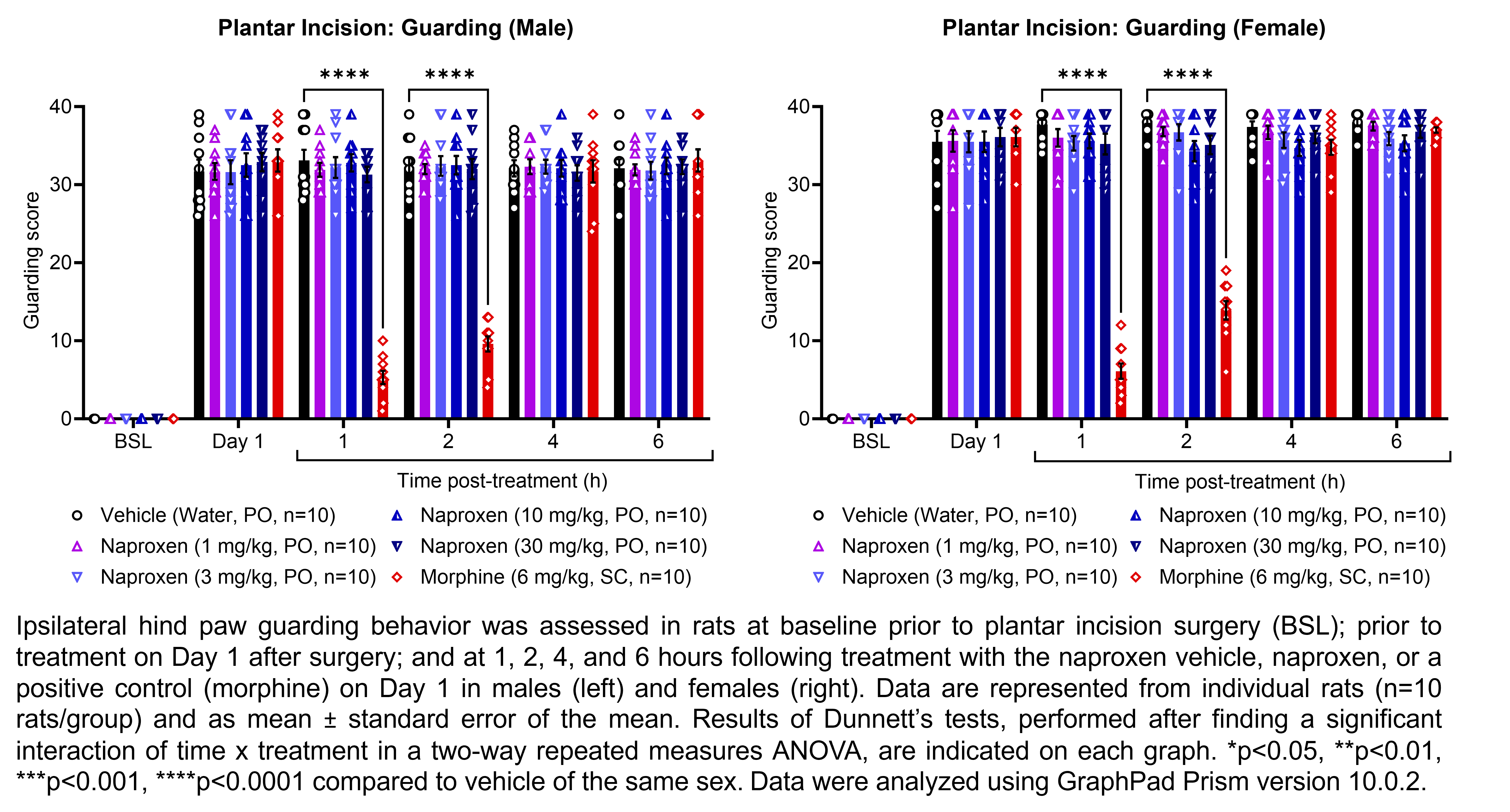 Two graphs show ipsilateral hind paw guarding behavior evaluated in male or female rats that have undergone plantar incision surgery. Responses are shown at the following time points: baseline (before surgery), prior to treatment at 1 day after surgery, and at 1, 2, 4, and 6 hours after treatment at 1 day after surgery. The treatments are vehicle (water, delivered PO), naproxen (1, 3, 10, or 30 mg/kg, delivered PO), or the positive control morphine (6 mg/kg, delivered SC). There were 10 rats per group. A significant interaction of time x treatment was found in a two-way repeated measures ANOVA. Dunnett’s tests found significant differences from vehicle in males at 1 hour and 2 hours post-treatment with morphine (p<0.0001 for both comparisons). Dunnett’s tests found significant differences from vehicle in females at 1 hour and 2 hours post-treatment with morphine (p<0.0001 for both comparisons).