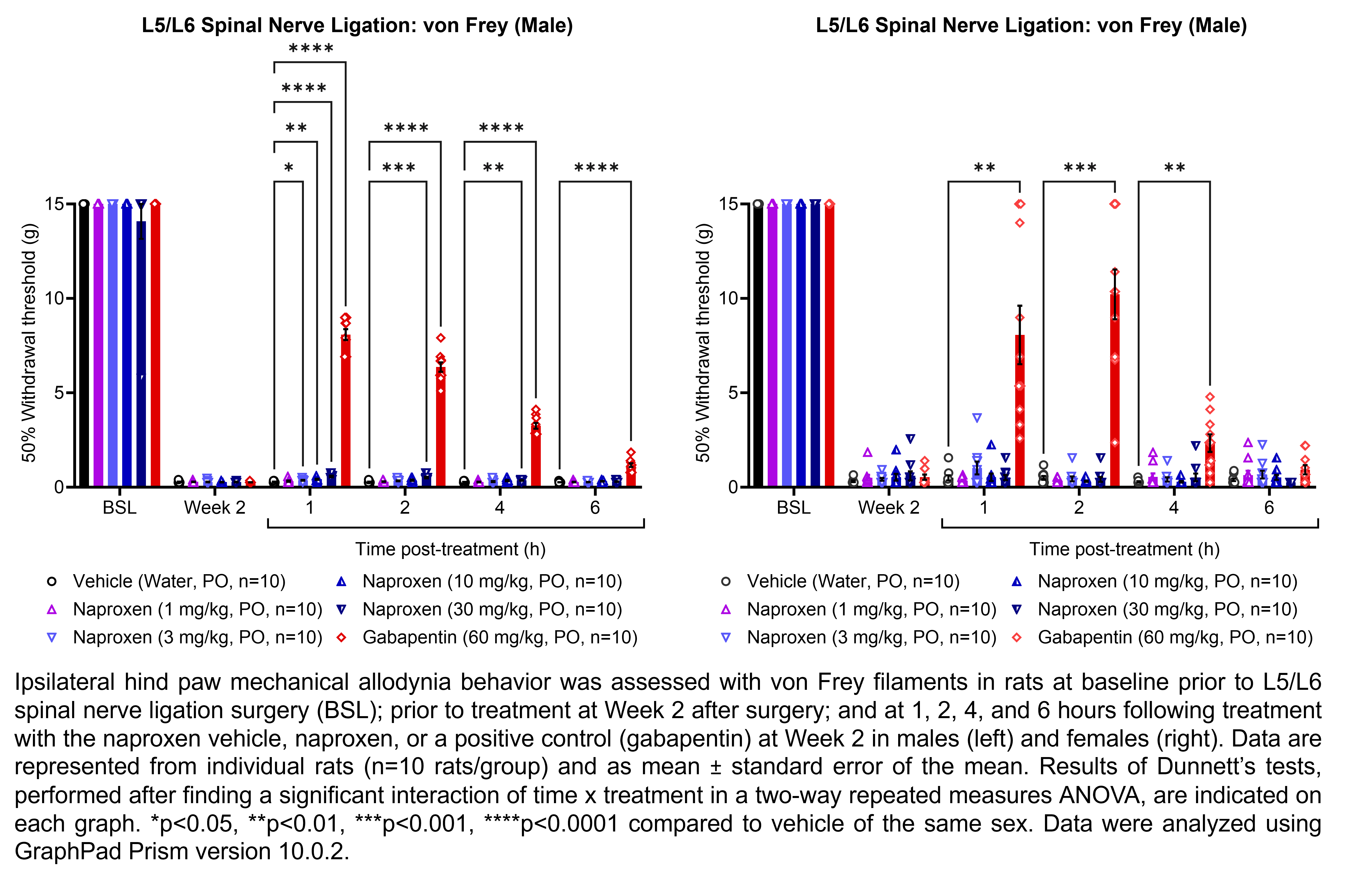 Two graphs show ipsilateral hind paw mechanical allodynia behavior assessed with von Frey filaments in male or female rats that have undergone L5/L6 spinal nerve ligation surgery. Responses are shown at the following time points: baseline (before surgery), prior to treatment at 2 weeks after surgery, and at 1, 2, 4, and 6 hours after treatment at 2 weeks after surgery. The treatments are vehicle (water, delivered PO), naproxen (1, 3, 10, or 30 mg/kg, delivered PO), or the positive control gabapentin (60 mg/kg, delivered PO). There were 10 rats per group. A significant interaction of time x treatment was found in a two-way repeated measures ANOVA. Dunnett’s tests found significant differences from vehicle in males at 1 hour post-treatment with 3, 10, and 30 mg/kg naproxen (p<0.05, 0.01, 0.0001, respectively) and gabapentin (p<0.0001); at 2 hours post-treatment with 30 mg/kg naproxen (p<0.001) and gabapentin (p<0.0001); at 4 hours post-treatment with 30 mg/kg naproxen (p<0.01) and gabapentin (p<0.0001); and at 6 hours post-treatment with gabapentin (p<0.0001). Dunnett’s tests found significant differences from vehicle in females at 1 hour, 2 hours, and 4 hours post-treatment with gabapentin (p<0.01, 0.001, 0.01, respectively).