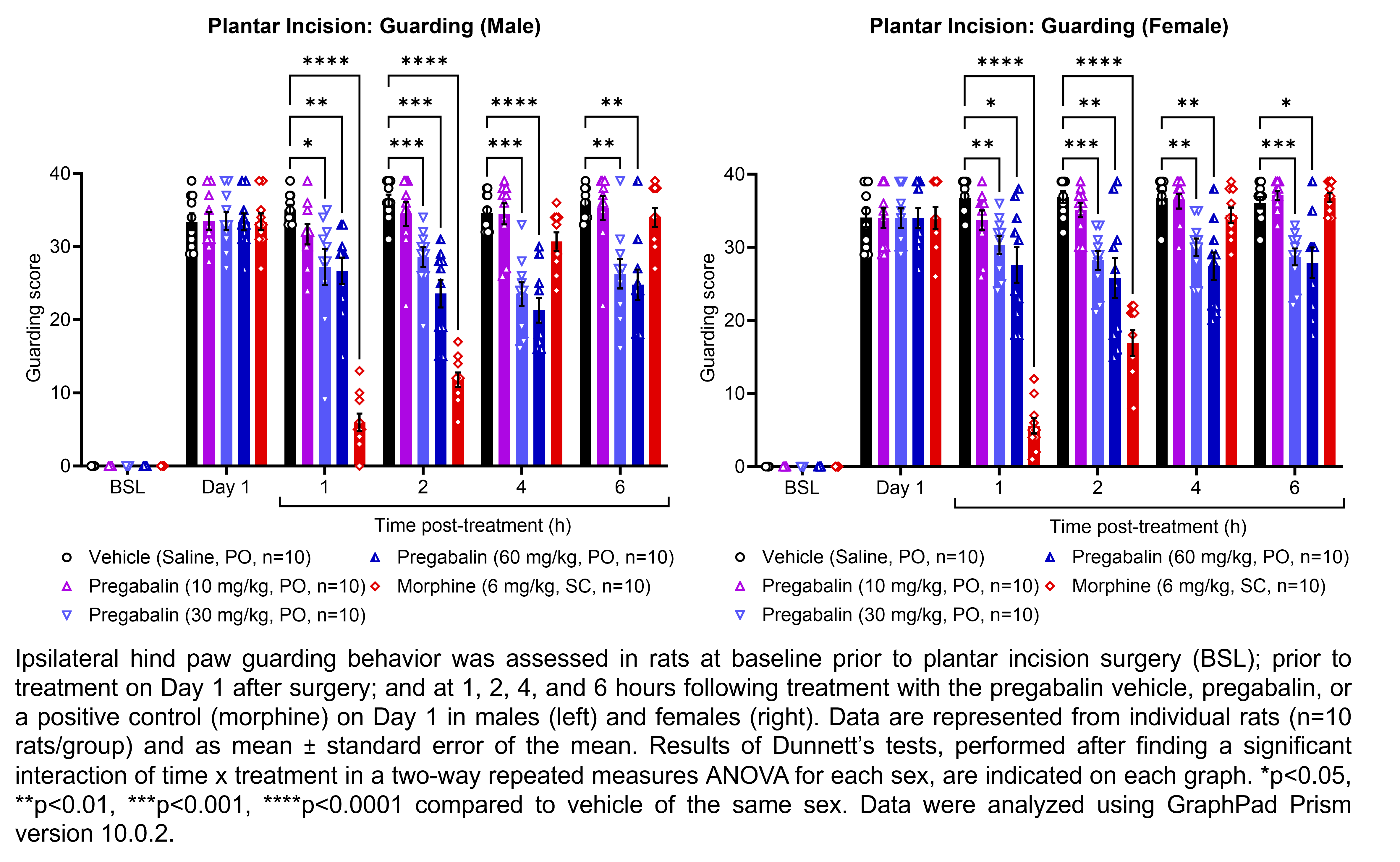 Two graphs show ipsilateral hind paw guarding behavior evaluated in male or female rats that have undergone plantar incision surgery. Responses are shown at the following time points: baseline (before surgery), prior to treatment at 1 day after surgery, and at 1, 2, 4, and 6 hours after treatment at 1 day after surgery. The treatments are vehicle (saline, delivered PO), pregabalin (10, 30, or 60 mg/kg, delivered PO), or morphine (6 mg/kg, delivered SC). There were 10 rats per group. A significant interaction of time x treatment was found in a two-way repeated measures ANOVA for each sex. Dunnett’s tests found significant decreases in guarding scores relative to vehicle in males at 1 hour post-treatment with 30 mg/kg pregabalin (p<0.05), 60 mg/kg pregabalin (p<0.01), and morphine (p<0.0001); at 2 hours post-treatment with 30 mg/kg pregabalin (p<0.001), 60 mg/kg pregabalin (p<0.001), and morphine (p<0.0001); at 4 hours post-treatment with 30 mg/kg pregabalin (p<0.001) and 60 mg/kg pregabalin (p<0.0001); and at 6 hours post-treatment with 30 mg/kg pregabalin (p<0.01) and 60 mg/kg pregabalin (p<0.01). Dunnett’s tests found significant decreases in guarding scores relative to vehicle in females at 1 hour post-treatment with 30 mg/kg pregabalin (p<0.01), 60 mg/kg pregabalin (p<0.05), and morphine (p<0.0001); at 2 hours post-treatment with 30 mg/kg pregabalin (p<0.001), 60 mg/kg pregabalin (p<0.01), and morphine (p<0.0001); at 4 hours post-treatment with 30 mg/kg pregabalin (p<0.01) and 60 mg/kg pregabalin (p<0.01); and at 6 hours post-treatment with 30 mg/kg pregabalin (p<0.001) and 60 mg/kg pregabalin (p<0.05).