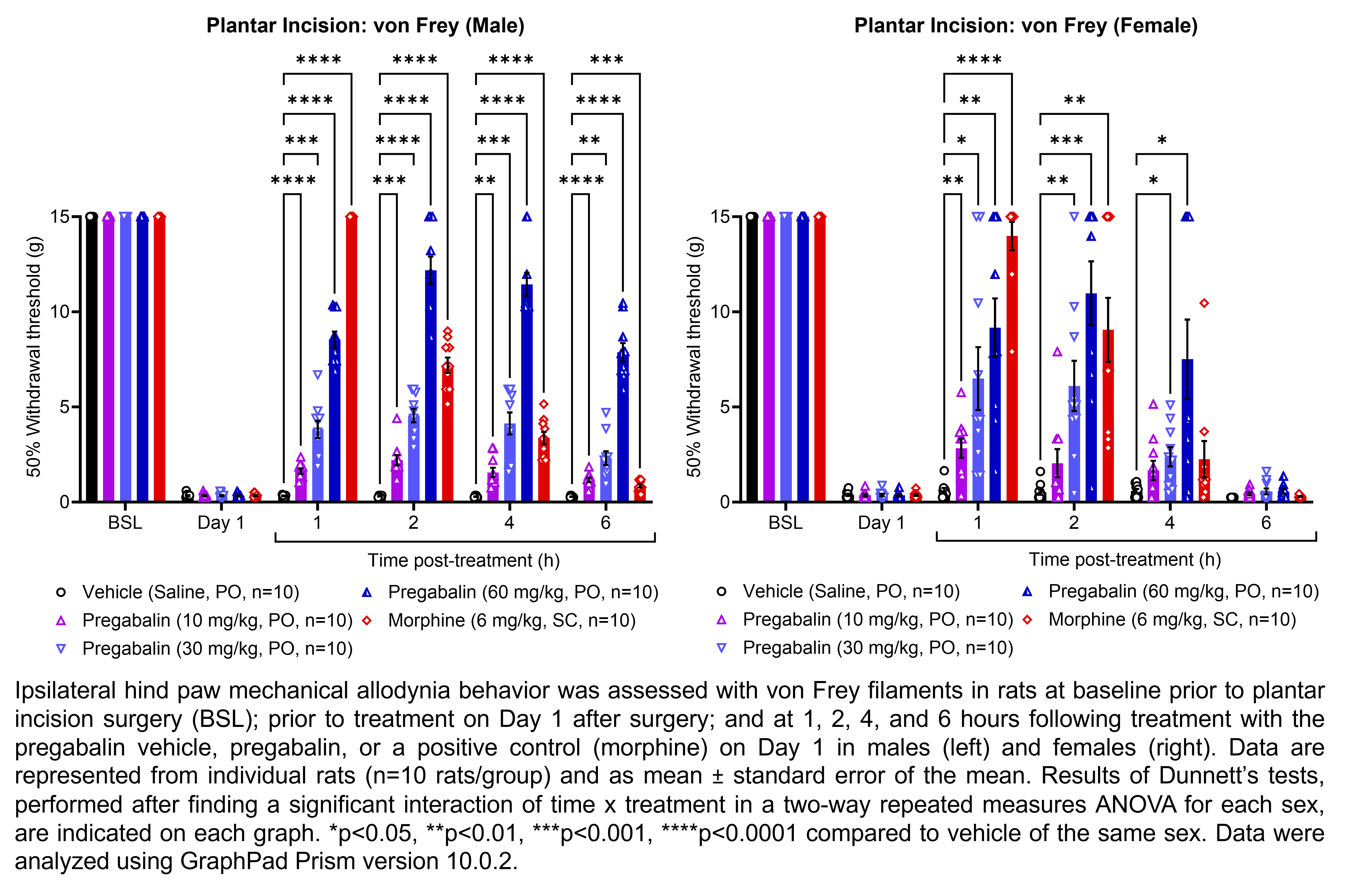 Two graphs show ipsilateral hind paw mechanical allodynia behavior assessed with von Frey filaments in male or female rats that have undergone plantar incision surgery. Responses are shown at the following time points: baseline (before surgery), prior to treatment at 1 day after surgery, and at 1, 2, 4, and 6 hours after treatment at 1 day after surgery. The treatments are vehicle (saline, delivered PO), pregabalin (10, 30, or 60 mg/kg, delivered PO), or morphine (6 mg/kg, delivered SC). There were 10 rats per group. A significant interaction of time x treatment was found in a two-way repeated measures ANOVA for each sex. Dunnett’s tests found significant increases in withdrawal thresholds relative to vehicle in males at 1 hour post-treatment with 10, 30, and 60 mg/kg pregabalin (p<0.0001, 0.001, 0.0001, respectively) and morphine (p<0.0001); at 2 hours post-treatment with 10, 30, and 60 mg/kg pregabalin (p<0.001, 0.0001, 0.0001, respectively) and morphine (p<0.0001); at 4 hours post-treatment with 10, 30, and 60 mg/kg pregabalin (p<0.01, 0.001, 0.0001, respectively) and morphine (p<0.0001); and at 6 hours post-treatment with 10, 30, and 60 mg/kg pregabalin (p<0.0001, 0.01, 0.0001, respectively) and morphine (p<0.001). Dunnett’s tests found significant differences increases in withdrawal thresholds relative to vehicle in females at 1 hour post-treatment with 10, 30, and 60 mg/kg pregabalin (p<0.01, 0.05, 0.01, respectively) and morphine (p<0.0001); at 2 hours post-treatment with 30 and 60 mg/kg pregabalin (p<0.01, 0.001, respectively) and morphine (p<0.01); and at 4 hours post-treatment with 30 and 60 mg/kg pregabalin (p<0.05 for both comparisons).