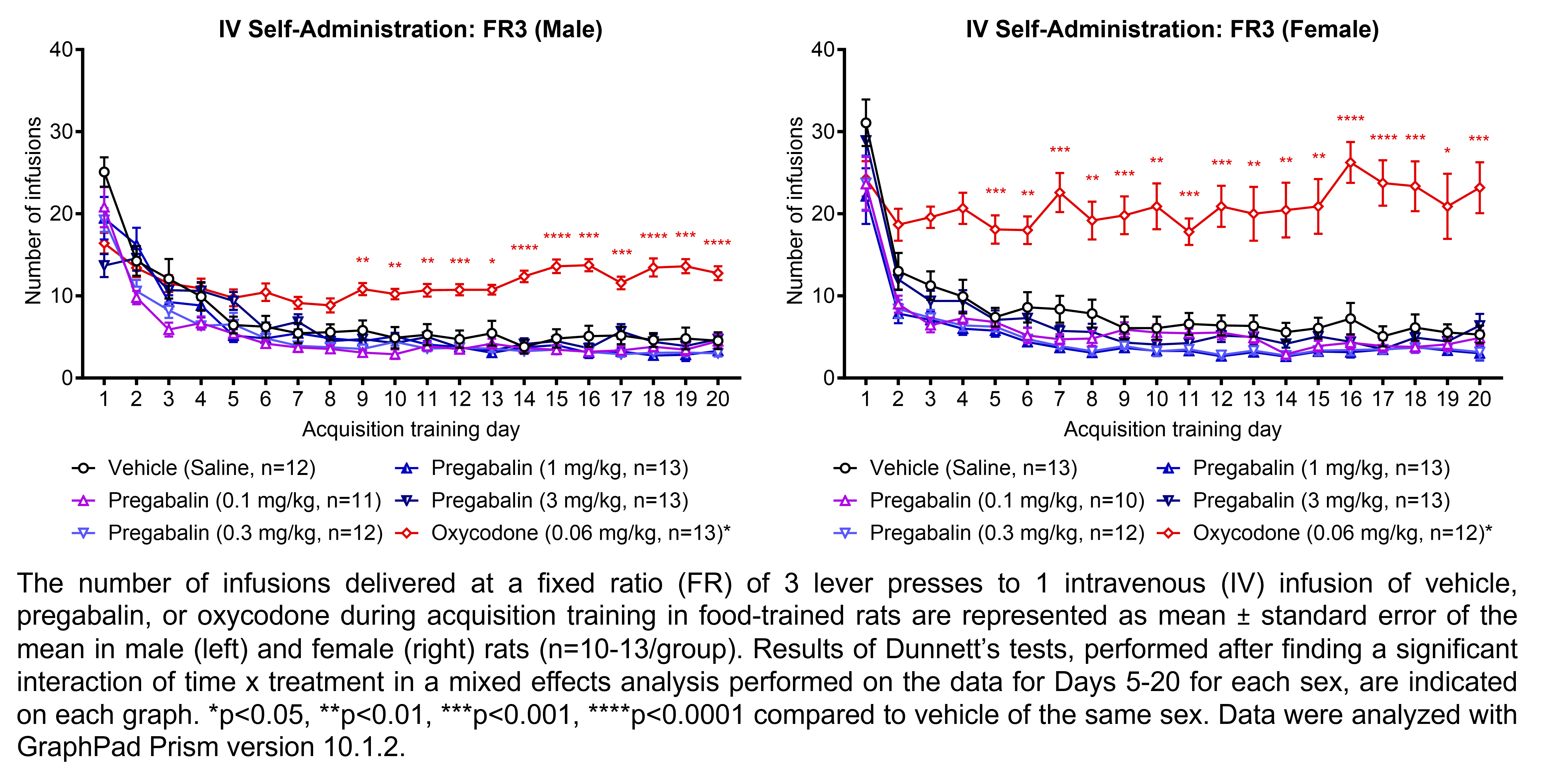 Two graphs show the number of infusions delivered in a fixed ratio of 3 lever presses for 1 intravenous infusion of vehicle (saline), pregabalin (0.1, 0.3, 1, or 3 mg/kg/infusion), or oxycodone (0.06 mg/kg/infusion) after food training in male and female rats (n=10-13/group). Dunnett’s tests were performed after finding a significant interaction of time x treatment in a mixed effects analysis performed on the data for Days 5-20 for each sex. The number of infusions of oxycodone was significantly higher than the number of infusions of vehicle on each day for Days 9-20 for males and Days 5-20 for females. Data were analyzed with GraphPad Prism.