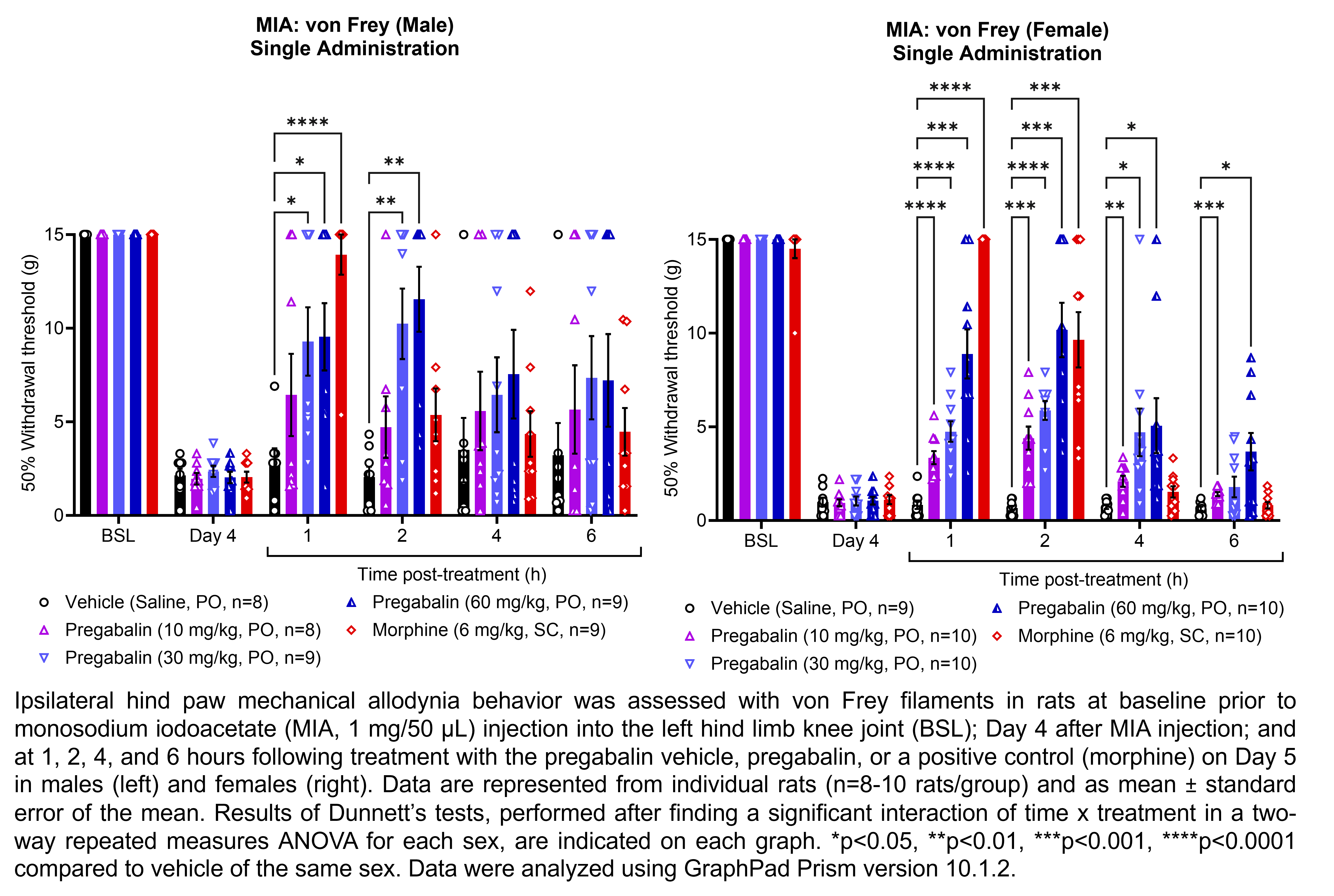 Two graphs show ipsilateral hind paw mechanical allodynia behavior assessed with von Frey filaments in male or female rats that have undergone injection of monosodium iodoacetate (MIA, 1 mg/50 µL) in the left hind limb knee joint. Responses are shown at the following time points: baseline (before MIA injection), Day 4 after MIA injection, and at 1, 2, 4, and 6 hours after treatment on Day 5. The treatments are vehicle (saline, delivered PO), pregabalin (10, 30, or 60 mg/kg, delivered PO), or the positive control morphine (6 mg/kg, delivered SC). There were 8-10 rats per group. A significant interaction of time x treatment was found in a two-way repeated measures ANOVA for each sex. Dunnett’s tests found significant increases in withdrawal thresholds relative to vehicle in males at 1 hour post-treatment with 30 mg/kg pregabalin (p<0.05), 60 mg/kg pregabalin (p<0.05), and morphine (p<0.0001) and at 2 hours post-treatment with 30 mg/kg pregabalin (p<0.01) and 60 mg/kg pregabalin (p<0.01). Dunnett’s tests found significant increases in withdrawal thresholds relative to vehicle in females at 1 hour post-treatment with 10 mg/kg pregabalin (p<0.0001), 30 mg/kg pregabalin (p<0.0001), 60 mg/kg pregabalin (p<0.001), and morphine (p<0.0001); 2 hours post-treatment with 10 mg/kg pregabalin (p<0.001), 30 mg/kg pregabalin (p<0.0001), 60 mg/kg pregabalin (p<0.001), and morphine (p<0.001); 4 hours post-treatment with 10 mg/kg pregabalin (p<0.01), 30 mg/kg pregabalin (p<0.05), and 60 mg/kg pregabalin (p<0.05); and at 6 hours post-treatment with 10 mg/kg pregabalin (p<0.001) and 60 mg/kg pregabalin (p<0.05).