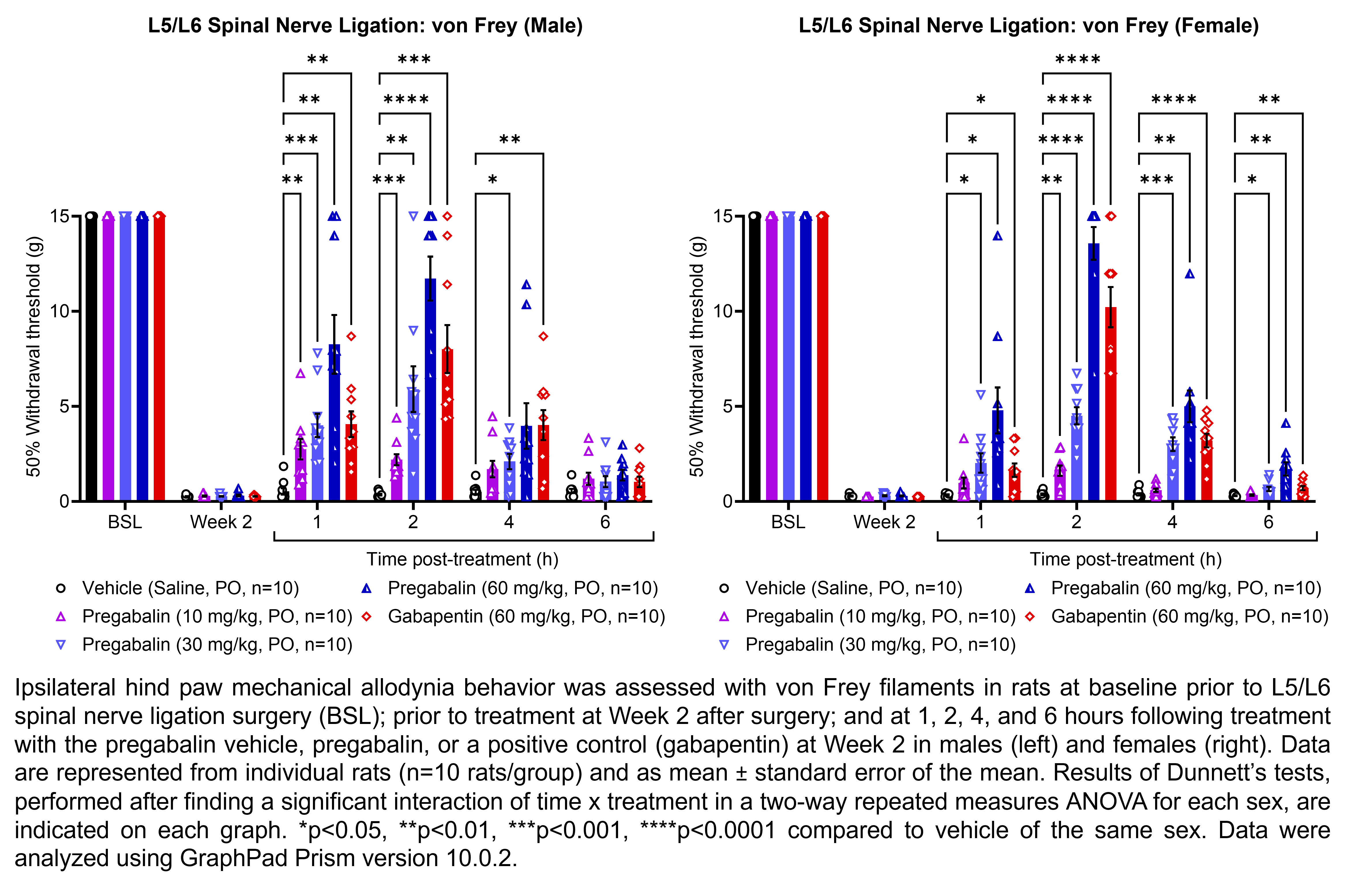 Two graphs show ipsilateral hind paw mechanical allodynia behavior assessed with von Frey filaments in male or female rats that have undergone L5/L6 spinal nerve ligation surgery. Responses are shown at the following time points: baseline (before surgery), prior to treatment at 2 weeks after surgery, and at 1, 2, 4, and 6 hours after treatment at 2 weeks after surgery. The treatments are vehicle (saline, delivered PO), pregabalin (10, 30, or 60 mg/kg, delivered PO), or the positive control gabapentin (60 mg/kg, delivered PO). There were 10 rats per group. A significant interaction of time x treatment was found in a two-way repeated measures ANOVA for each sex. Dunnett’s tests found significant increases in withdrawal thresholds relative to vehicle in males at 1 hour post-treatment with 10, 30, and 60 mg/kg pregabalin (p<0.01, 0.001, 0.01, respectively) and gabapentin (p<0.01); at 2 hour post-treatment with 10, 30, and 60 mg/kg pregabalin (p<0.001, 0.01, 0.0001, respectively) and gabapentin (p<0.001); and at 4 hours post-treatment with 30 mg/kg pregabalin (p<0.05) and gabapentin (p<0.01). Dunnett’s tests found significant increases in withdrawal thresholds relative to vehicle in females at 1 hour post-treatment with 30 mg/kg pregabalin, 60 mg/kg pregabalin, and gabapentin (p<0.05 for all comparisons); at 2 hour post-treatment with 10, 30, and 60 mg/kg pregabalin (p<0.01, 0.0001, 0.0001, respectively) and gabapentin (p<0.0001); at 4 hours post-treatment with 30 mg/kg pregabalin (p<0.001), 60 mg/kg pregabalin (p<0.01), and gabapentin (p<0.0001); and at 6 hours post-treatment with 30 mg/kg pregabalin (p<0.05), 60 mg/kg pregabalin (p<0.01), and gabapentin (p<0.01).